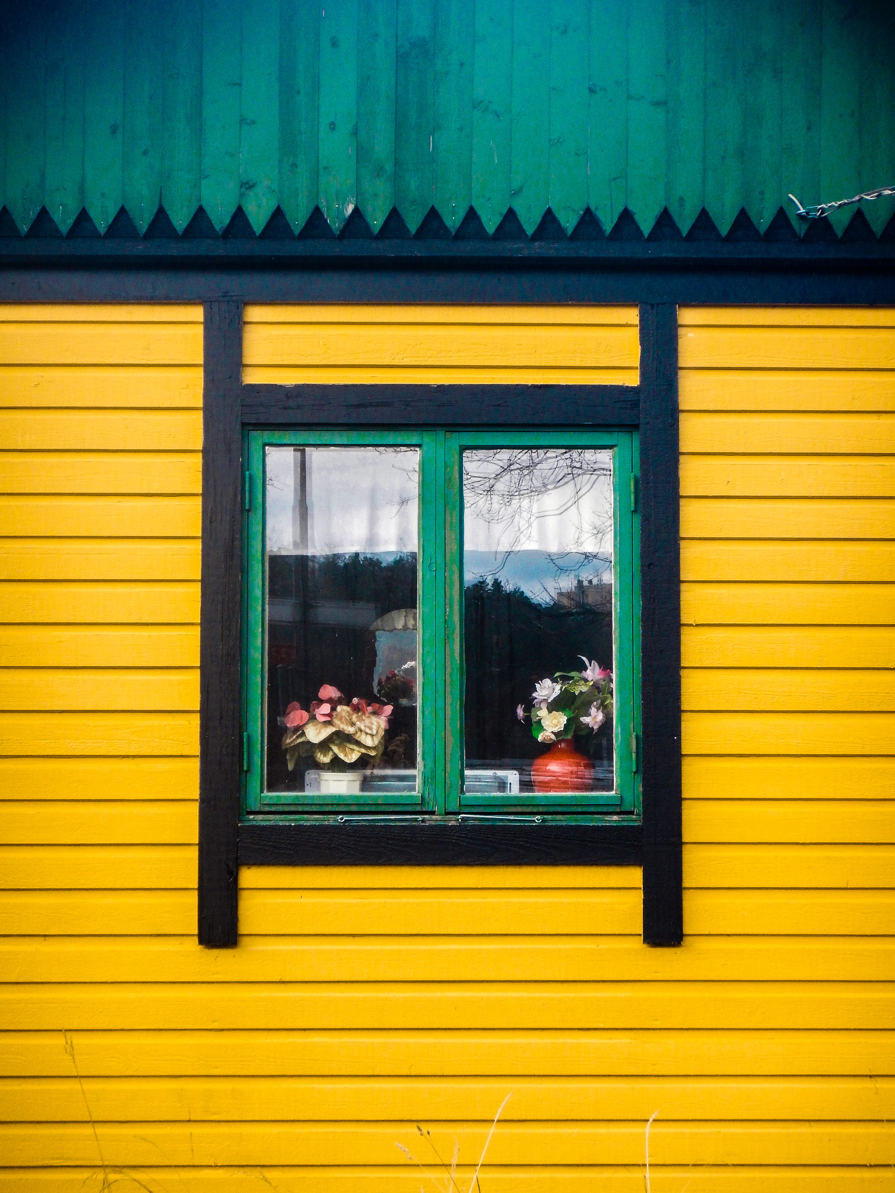 4K, outdoors, black, painted, transparent, wall, building exterior, building, no people, close-up, green color, day, window frame, yellow, window, wooden, Phone HD Wallpaper
