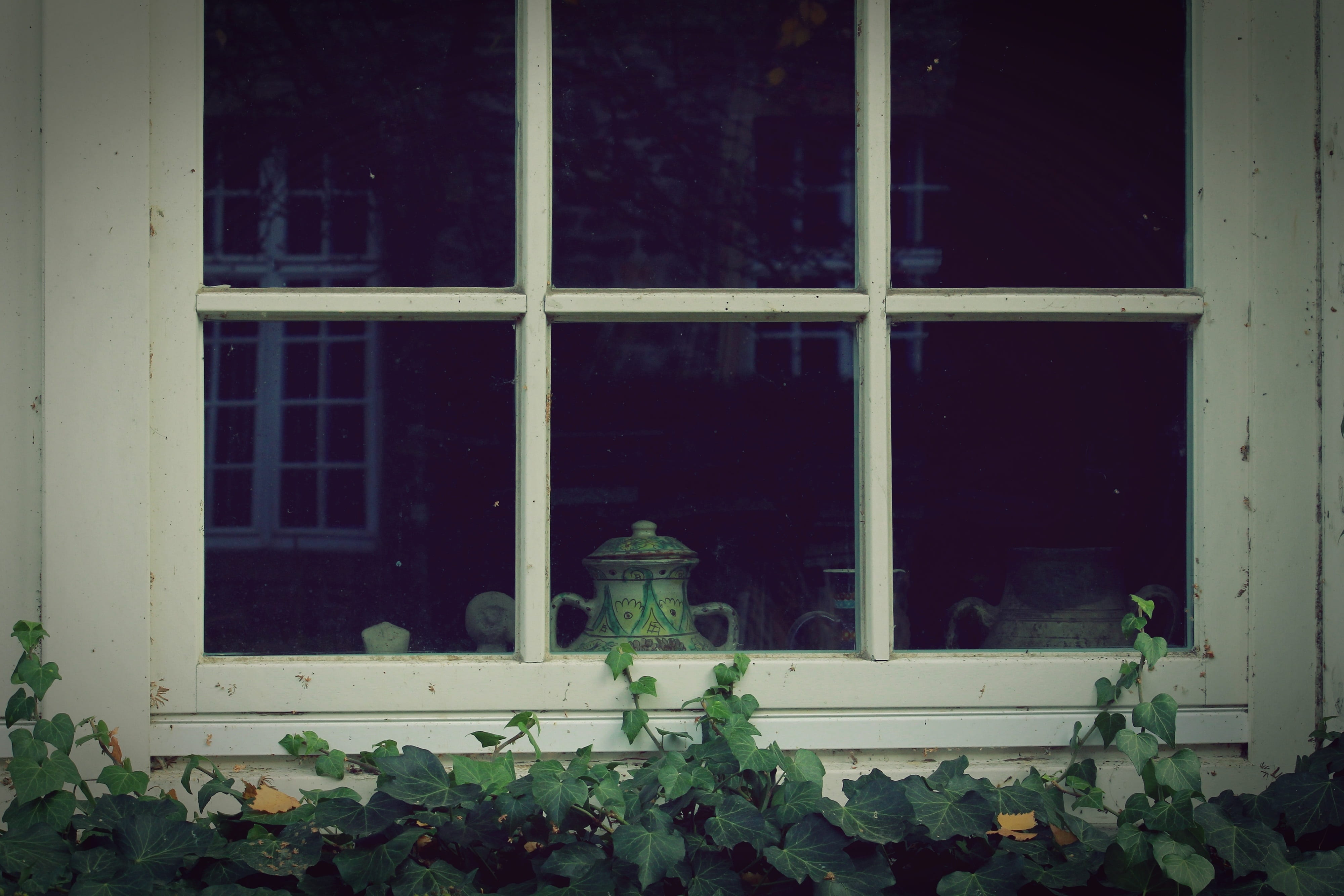 green, climber, glass, plant part, no people, plant, fouling, old building, romantic, house, architecture, outdoors, overgrown, wooden, home, wooden windows, HD Wallpaper