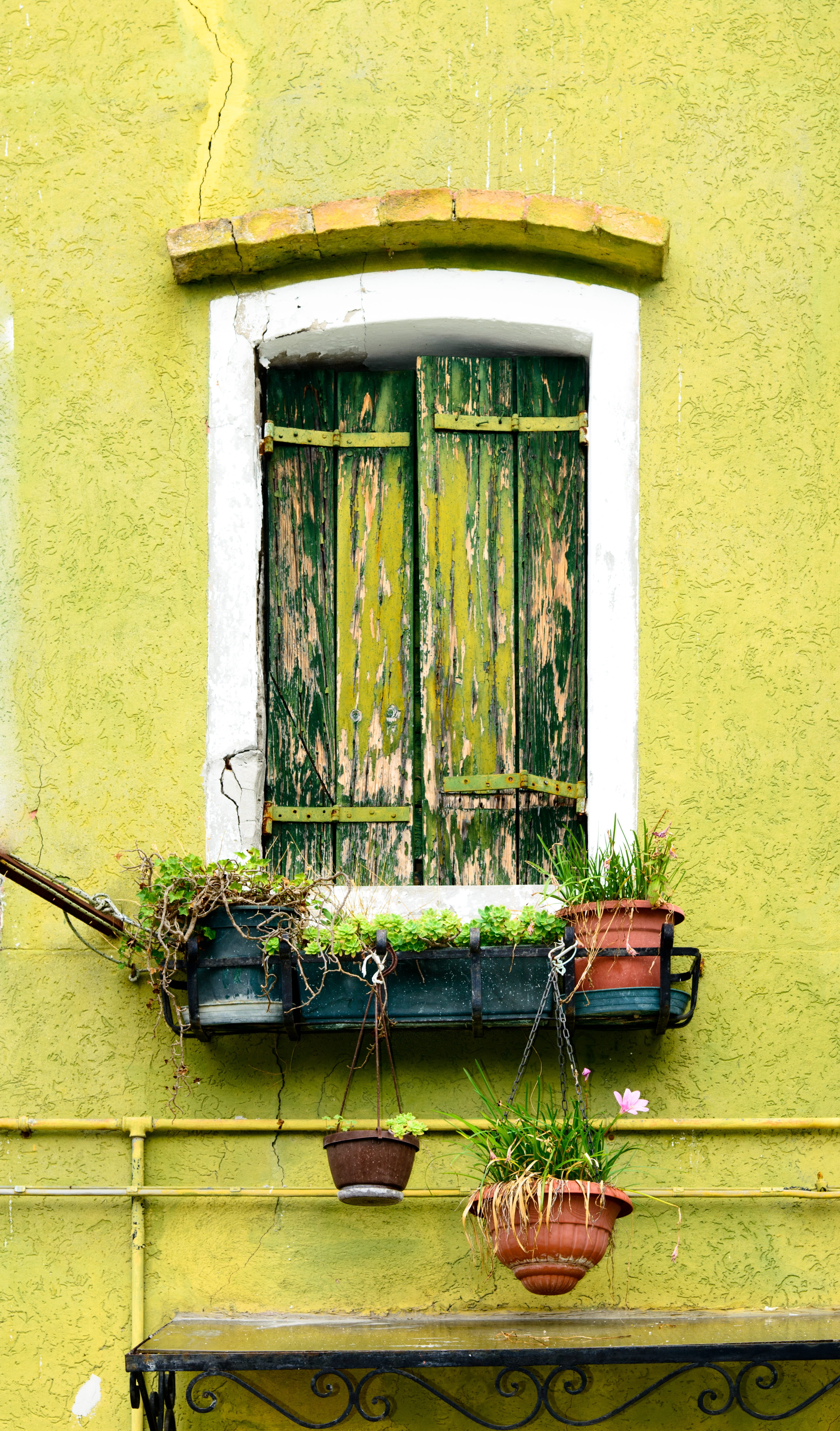 residential district, 5K, building exterior, window, window box, home, day, growth, architecture, shutters, black, outdoors, green window, yellow, potted plant, Phone HD Wallpaper