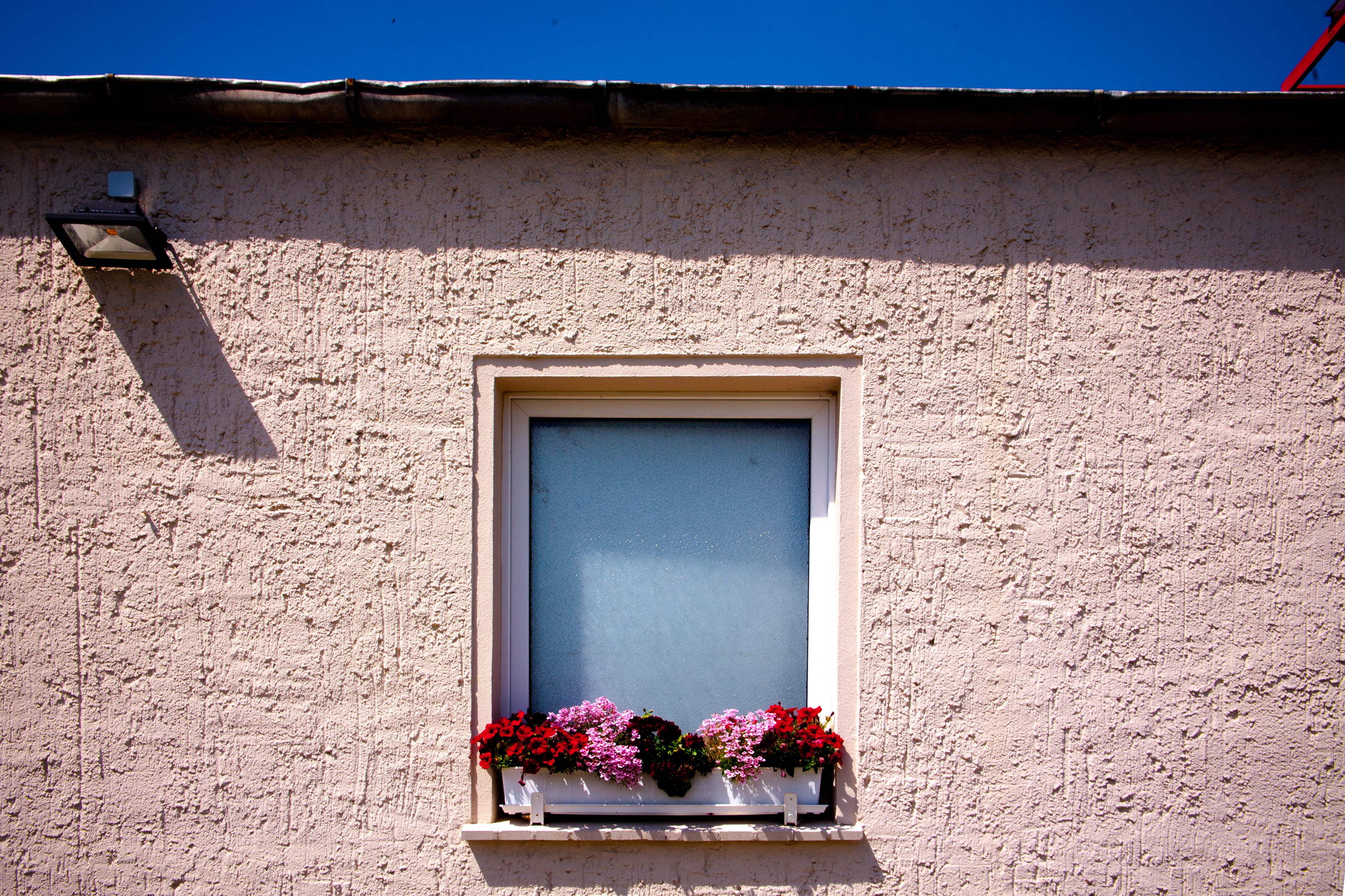 growth, sun, sunlight, window, shutter, framed, photography, building, flowering plant, house, built Structure, architecture And Buildings, white, brown, HD Wallpaper