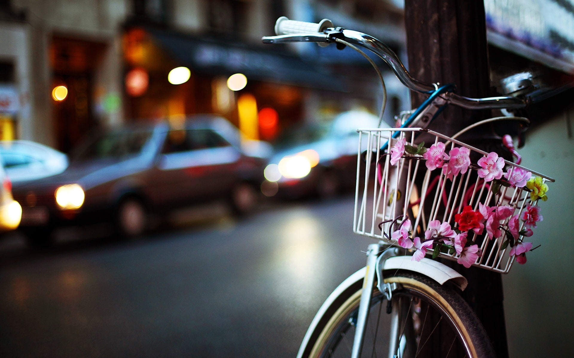 Night, black, 1080P, City, silver, Flowers, bicycle, Bike, HD Wallpaper