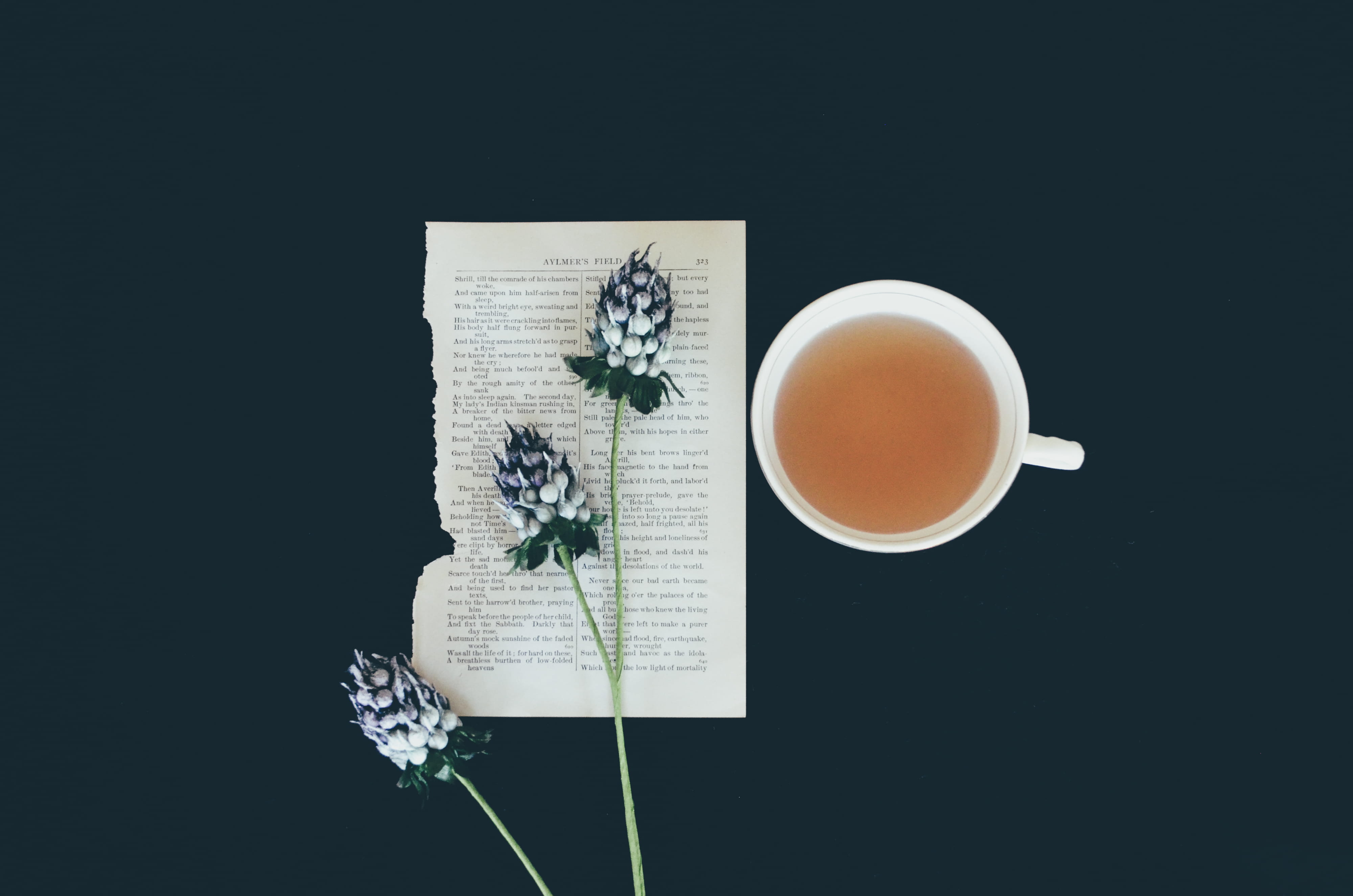 nature, flower head, flora, herbs, pottery, crockery, beside, tea, hot drink, tea cup, ceramic, indoors, studio shot, freshness, cup, food and drink, florida, HD Wallpaper