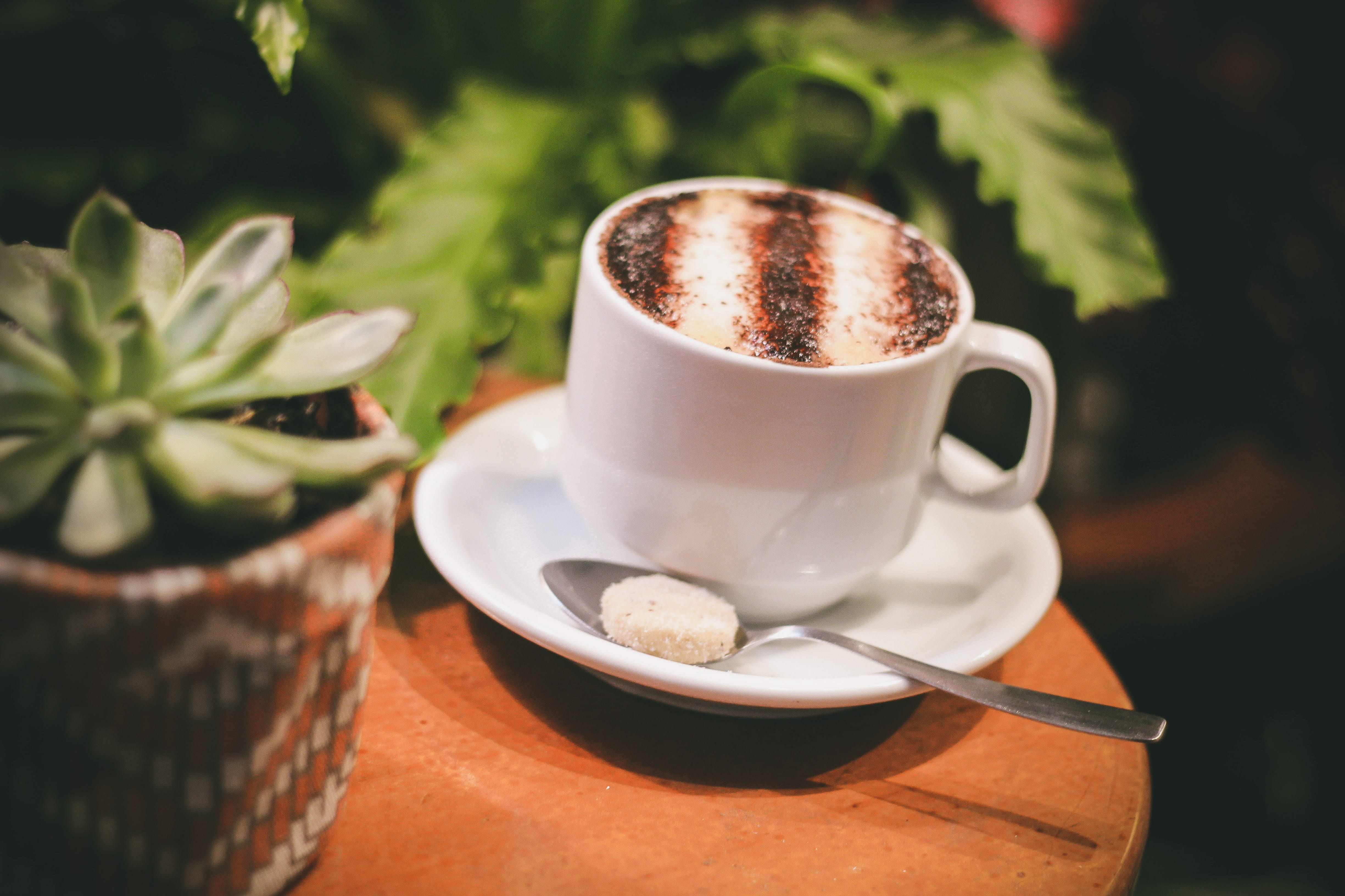 freshness, hot drink, dark, plant, mug, saucer, refreshment, white, succulent, teaspoon, steel, eating utensil, ceramic, aromatic, coffee cup, crockery, HD Wallpaper