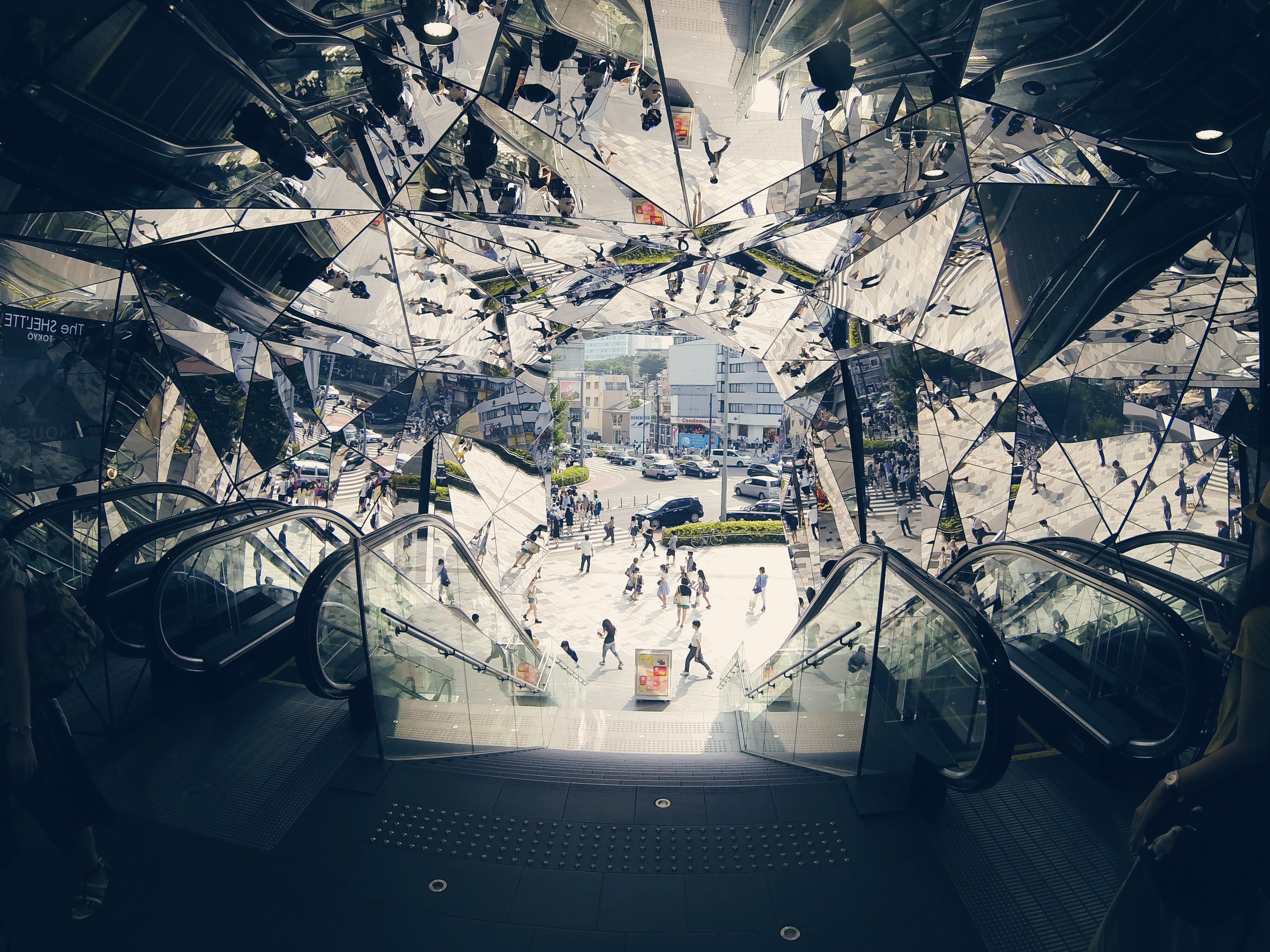 indoors, metal, asium, direction, optical illusion, tree, day, inside, growth, people, mirror, retail, shiny, mode of transportation, 2K, walking, shopping mall, HD Wallpaper