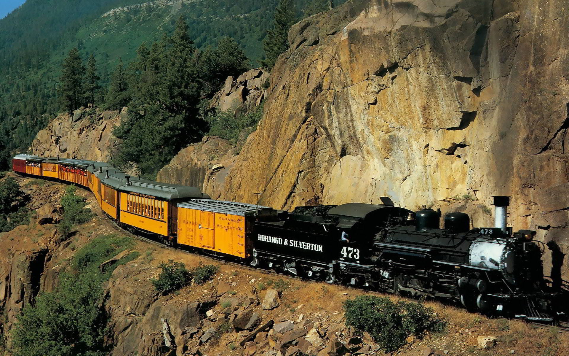 plant, travel, mode of transportation, track, acantilado, tren, no people, train, rail transportation, steam train, train - vehicle, outdoors, land vehicle, HD Wallpaper
