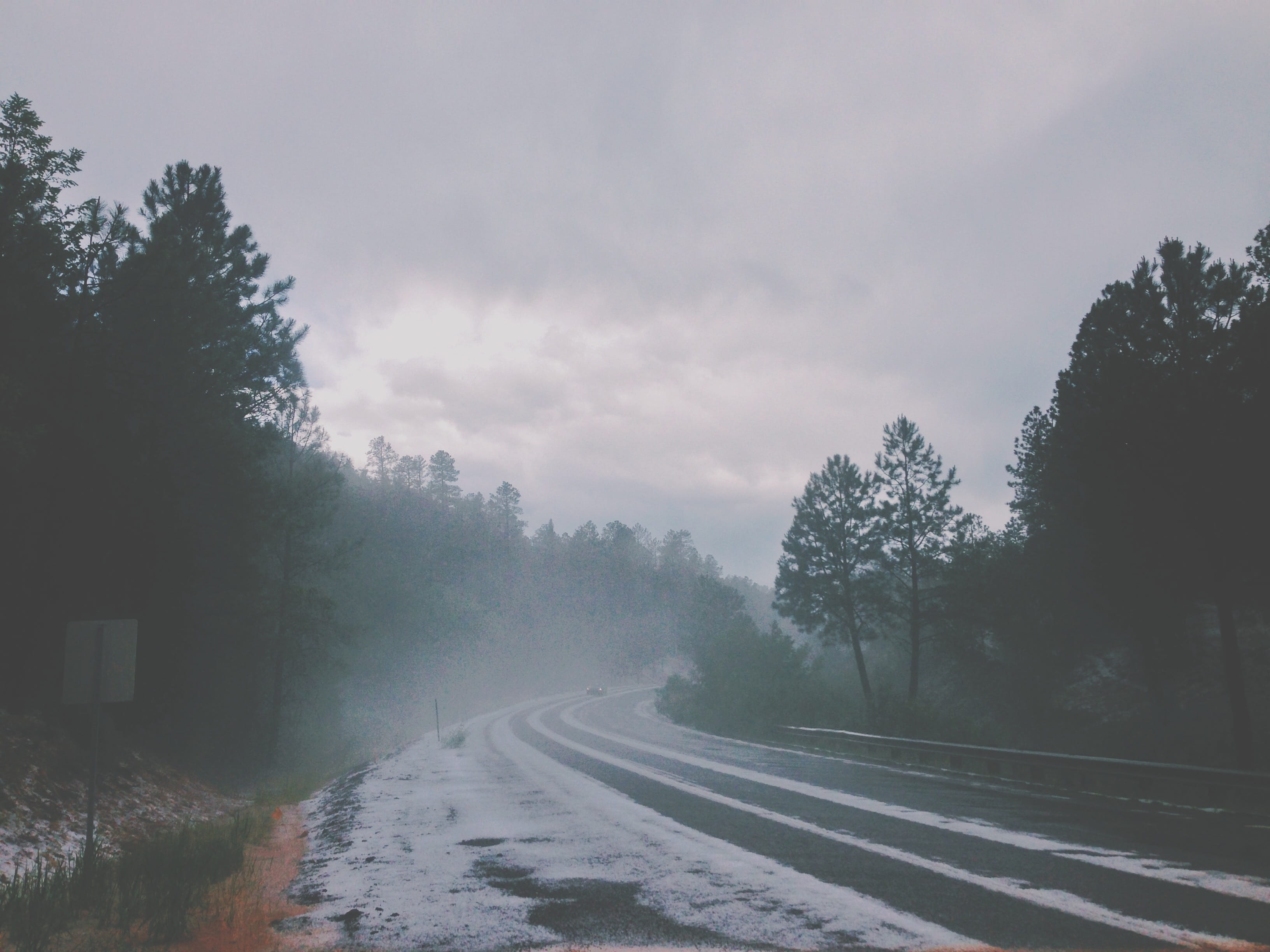 nature, cold, haze, direction, tree, snow, growth, scenics - nature, forest, drizzle, fog, beauty in nature, atmospheric phenomenon, cloud, winter, tranquility, HD Wallpaper