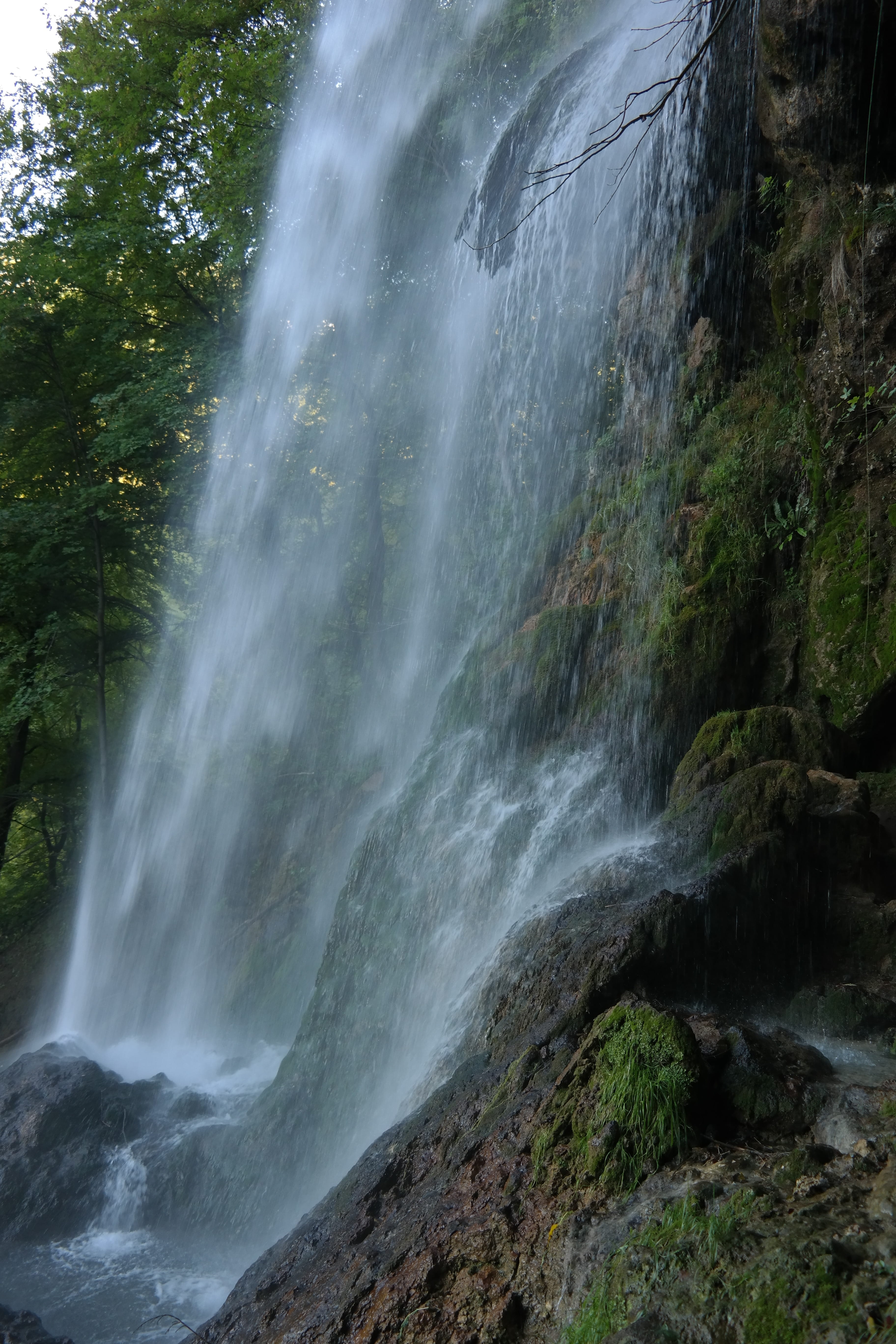 power in nature, tree, plant, rock, water veil, falling water, rainforest, water, no people, urach waterfall, outdoors, power, swabian alb, scenics - nature, Phone HD Wallpaper