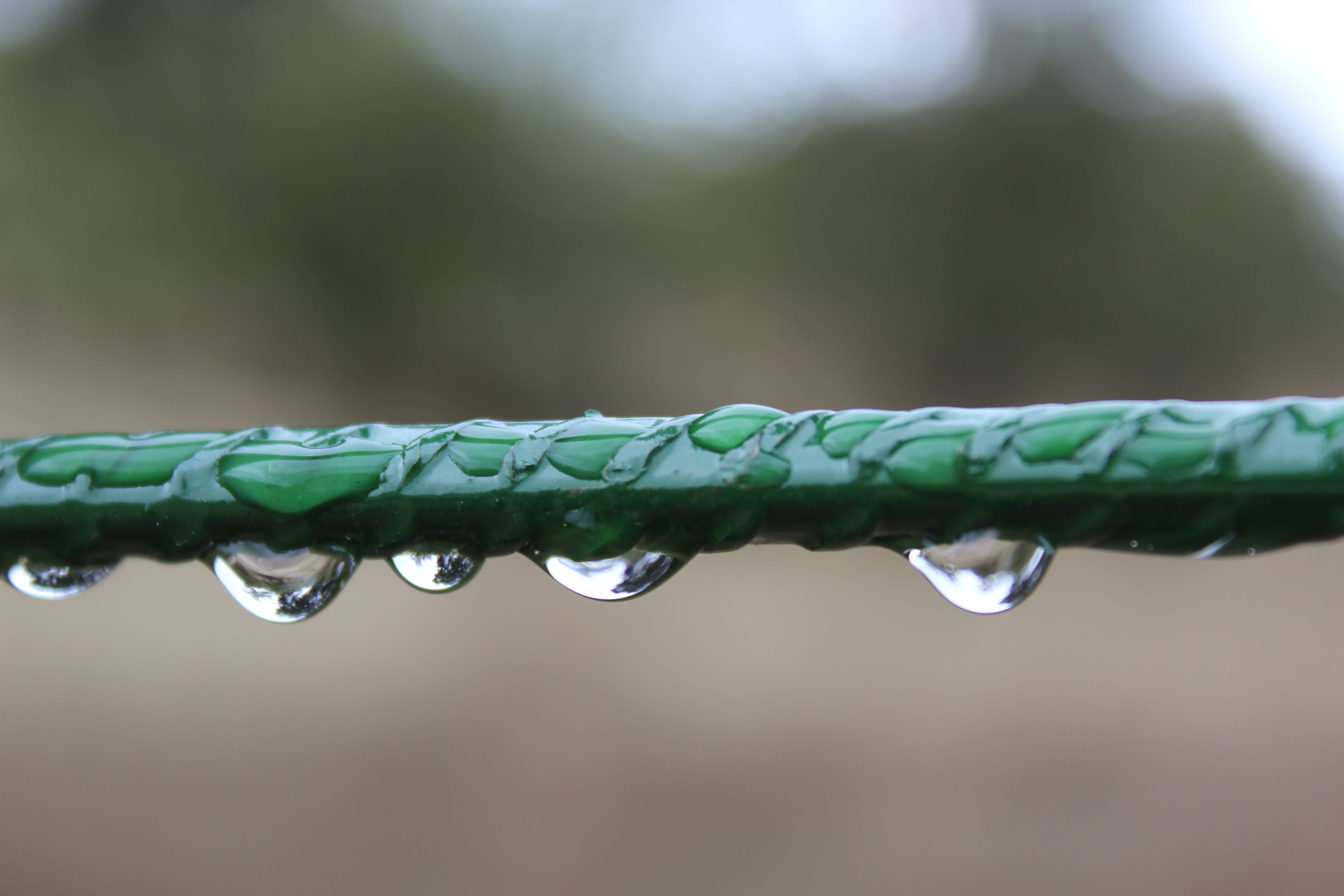 lens, drizzle, storm, Water, Drops, drops of water, rain, drop of rain, green color, precise focus, purity, drop of water, nature, iron, freshness, reflection, HD Wallpaper