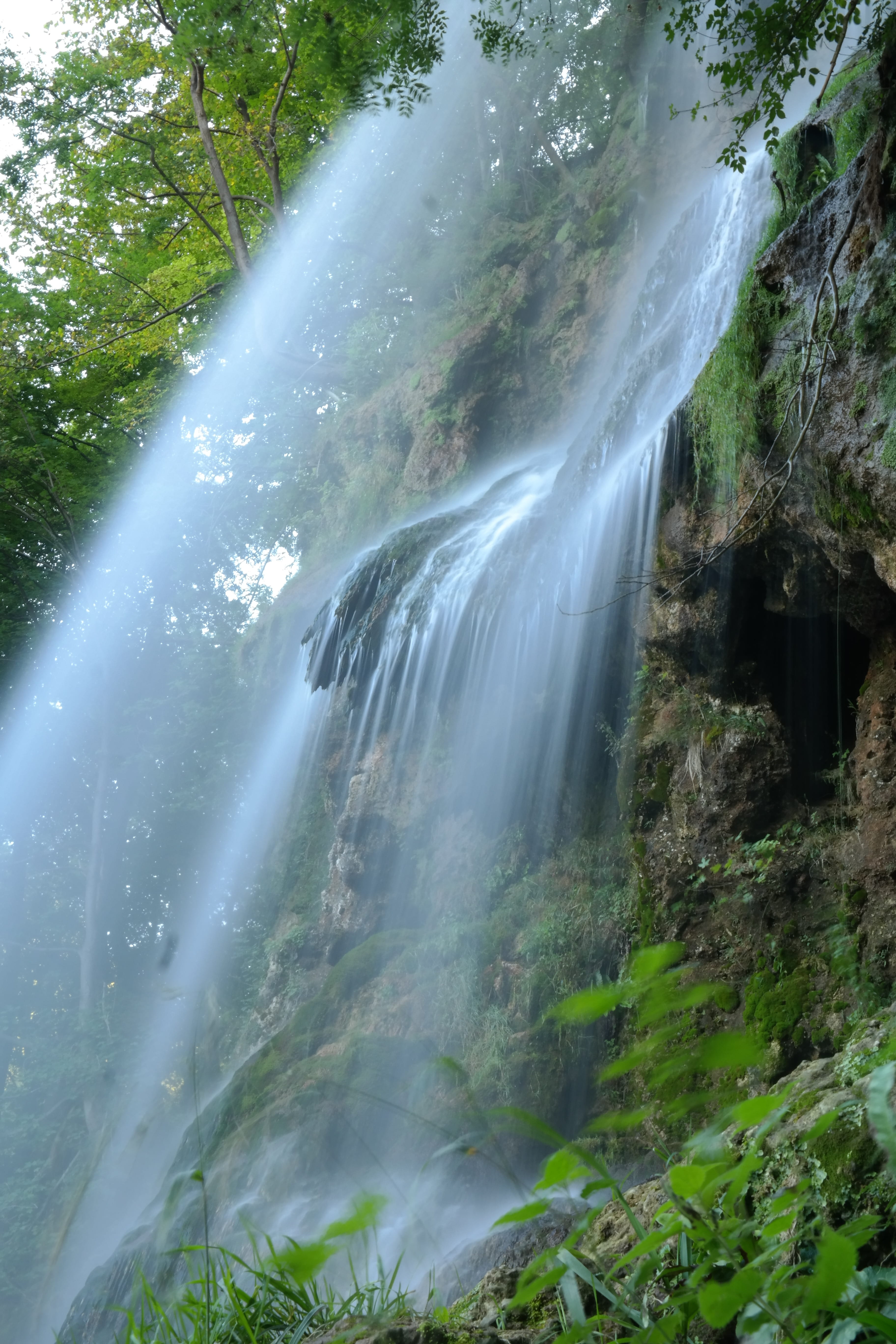 tree, urach, green, outdoors, waterfalls, blurred motion, tourist attraction, falling water, scenics - nature, nature, 5K, no people, long exposure, motion, Phone HD Wallpaper