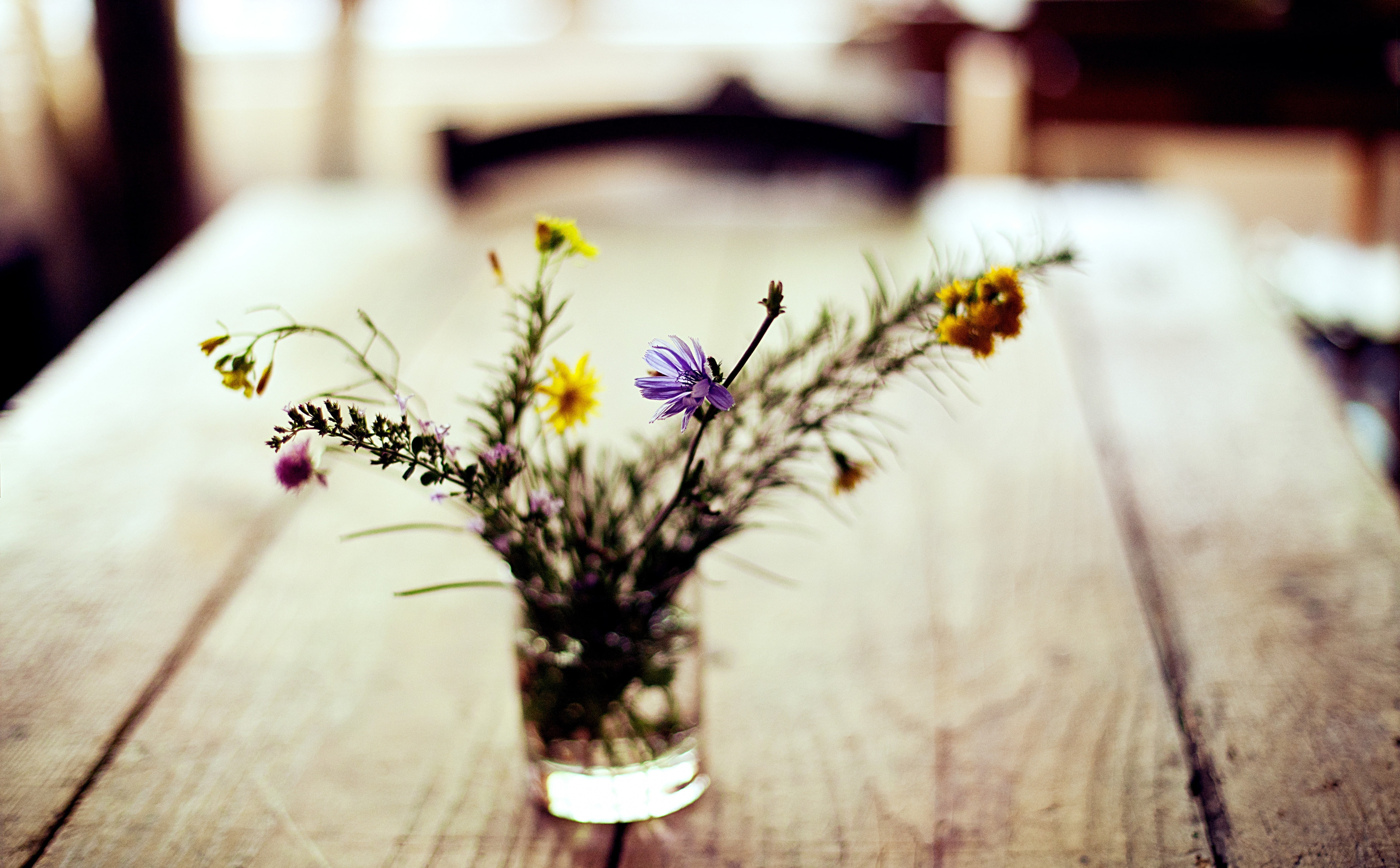 yellow, fragility, campo, selective focus, flower arrangement, flower, 50mm, francescaguadagnini, table, Life, freshness, summer, day, bicchiere, Flowers, HD Wallpaper