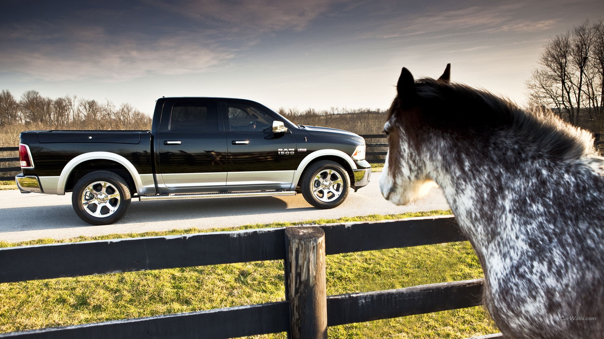 1080P, Dodge RAM, car, HD Wallpaper