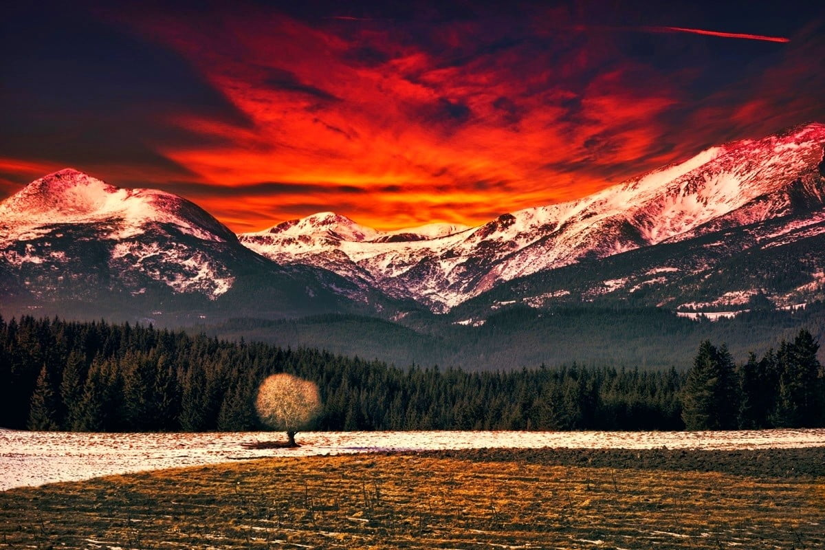 field, mountain peak, mountain range, plant, cloud - sky, scenics - nature, cold temperature, trees, outdoors, forest, environment, pine woodland, coniferous tree, HD Wallpaper