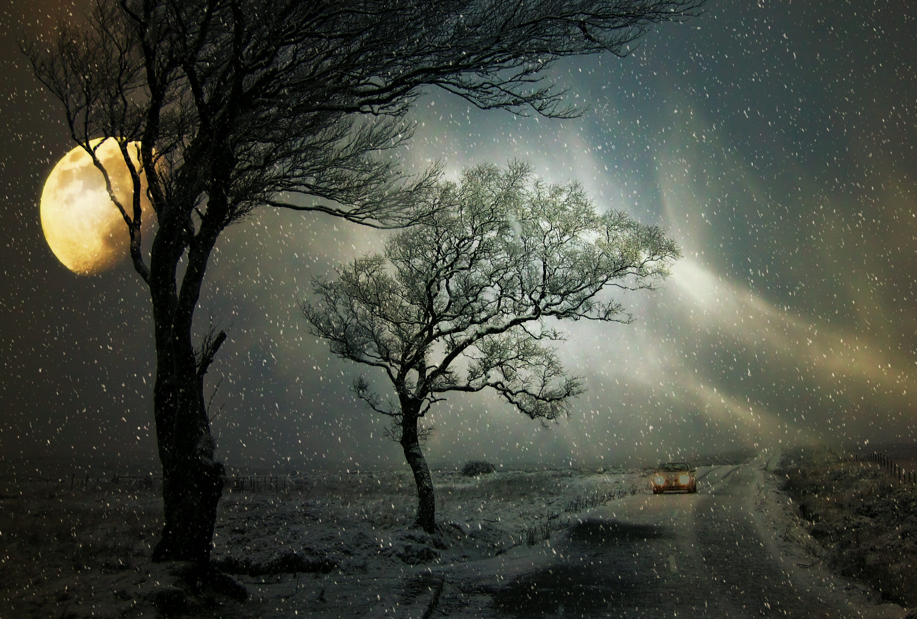 2K, night, weather, astronomy, light, bare tree, way, lonely, drive, snowing, sky, snow landscape, snowy, trees, environment, weird, tranquility, snow flurry, HD Wallpaper
