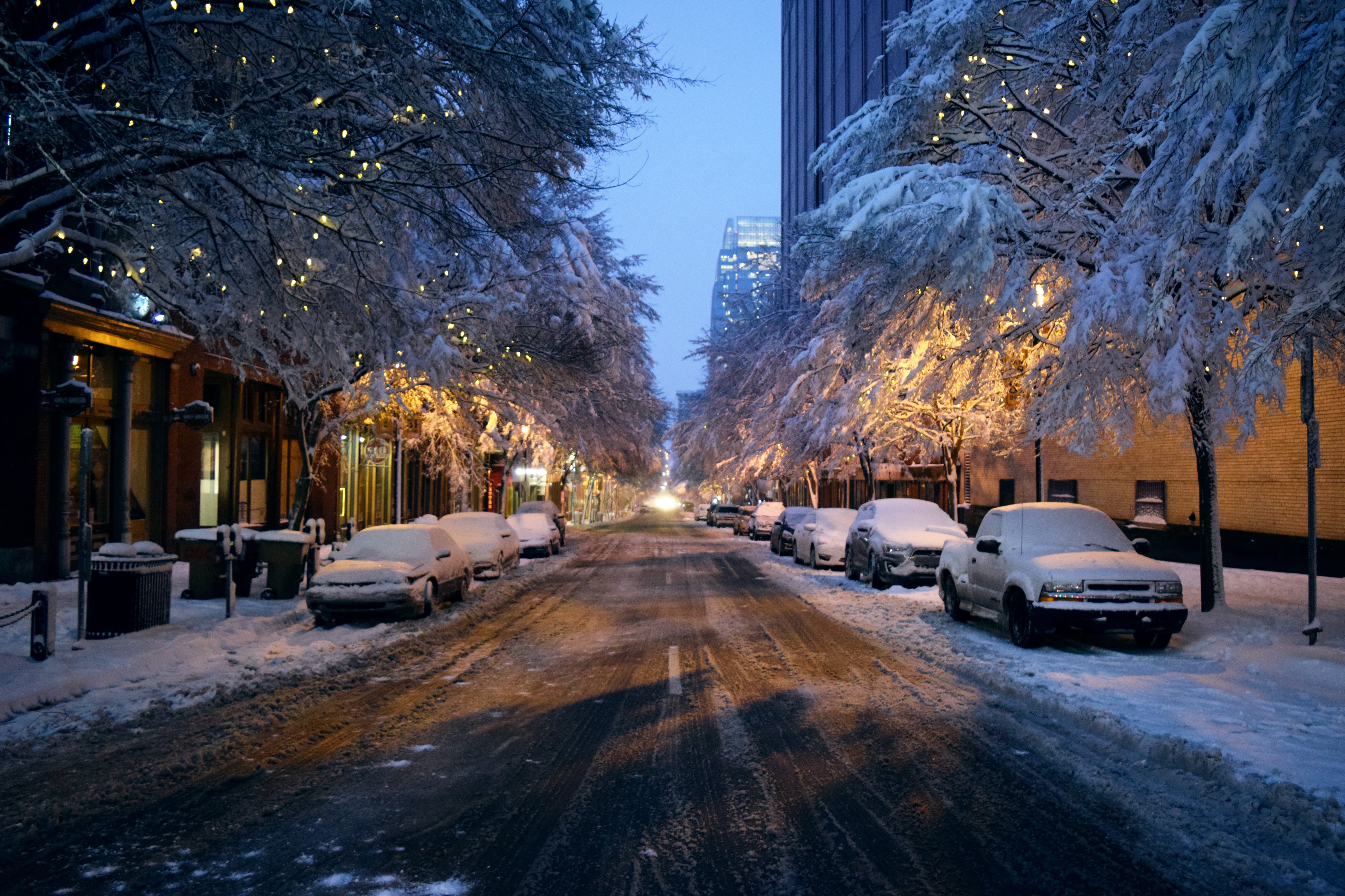 road, the way forward, dusk, 5K, holidays, street, nashville, car, motor vehicle, trees, built structure, plant, diminishing perspective, snow, snow storm, HD Wallpaper