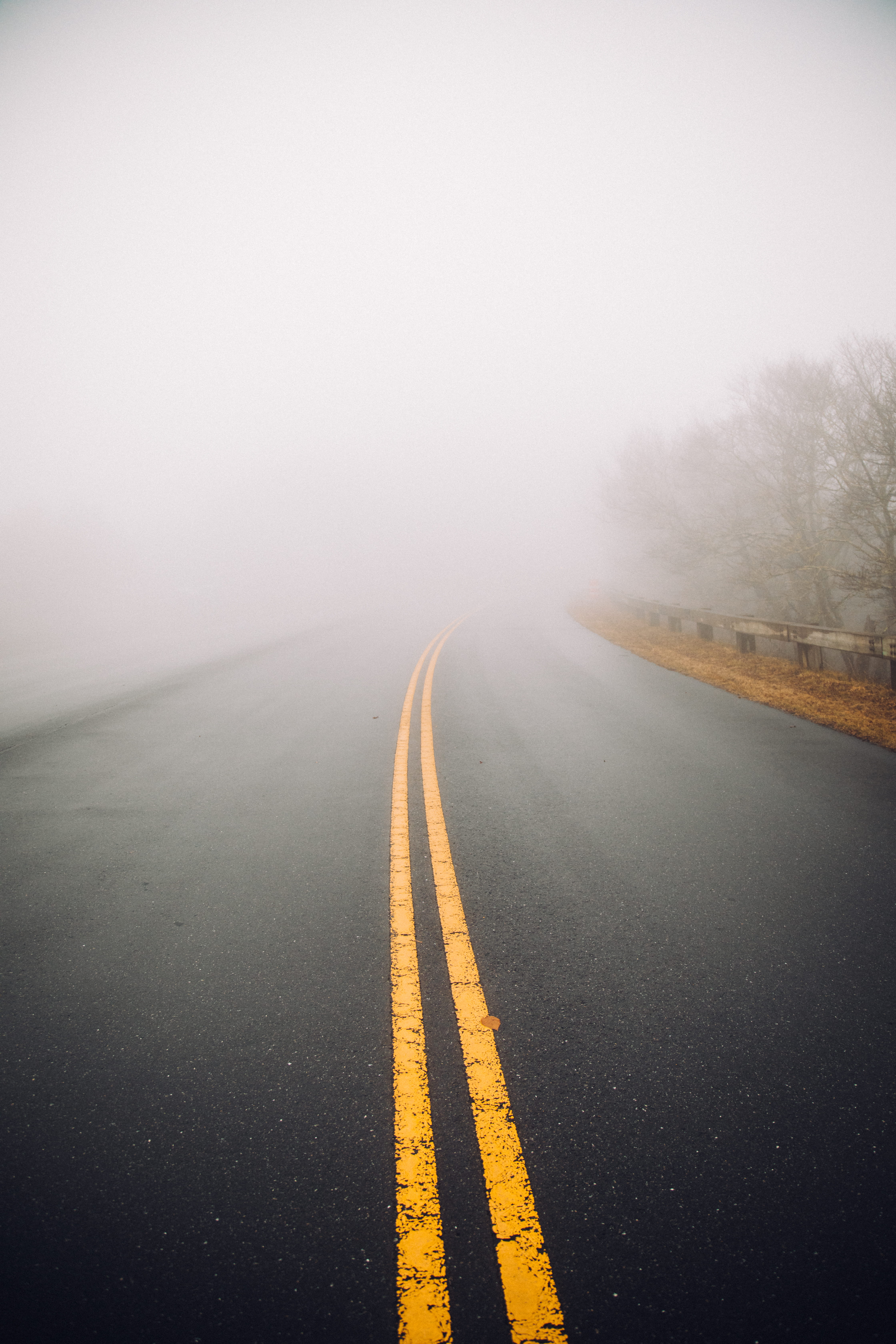 scenics, rain, forest, cloud - Sky, background, mystical, mist, travel, moody, highway, foggy, concrete, no People, wanderlust, country Road, mood, nature, Phone HD Wallpaper