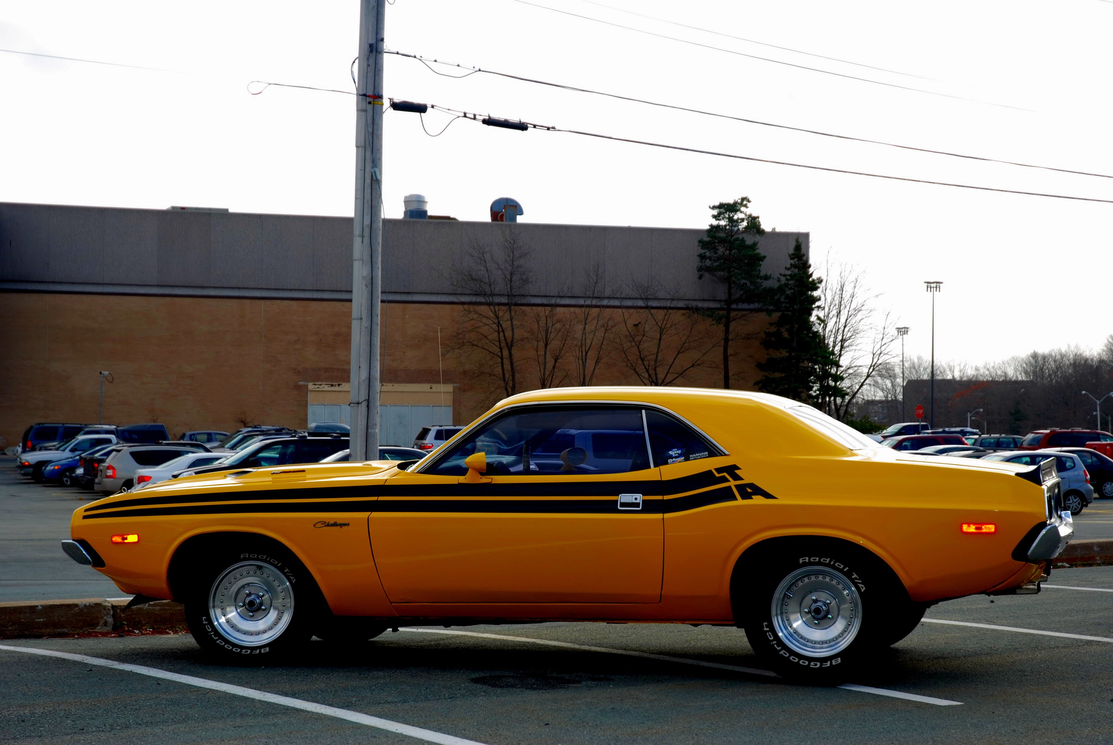 dodge, muscle, cars, classic, 4K, challenger, 1973, HD Wallpaper