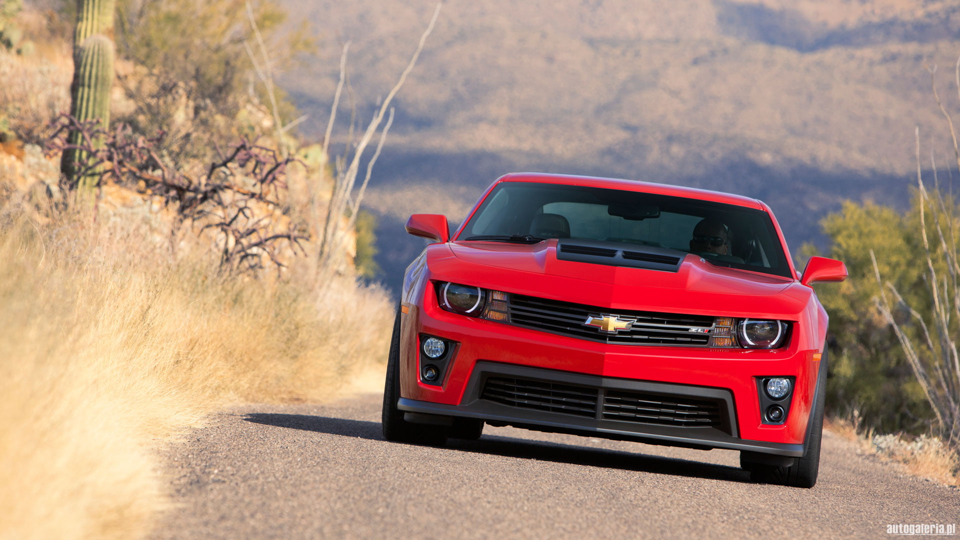 cars, 1080P, zl, hd, camaro, zl1, chevrolet, HD Wallpaper