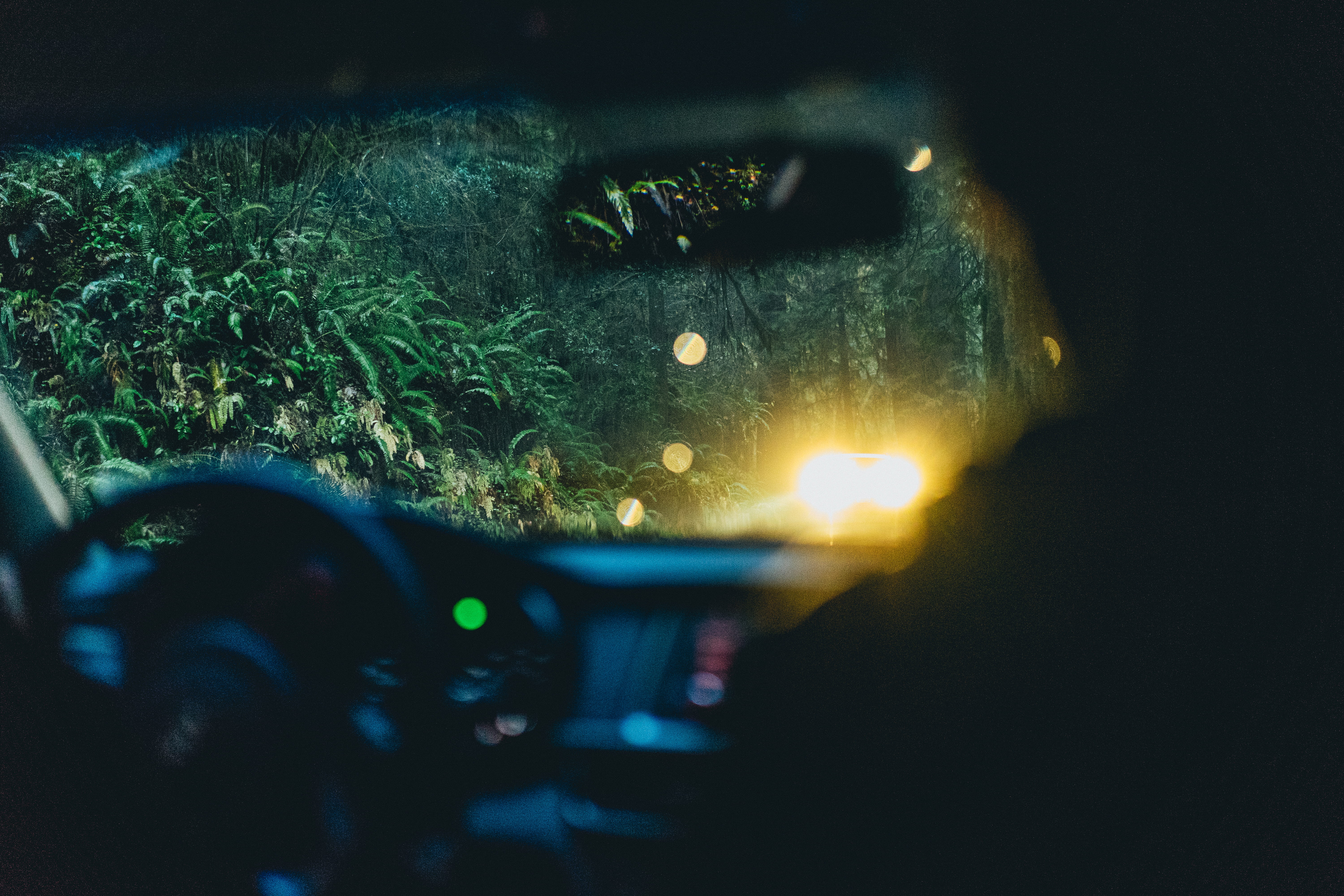 trees, nature, vehicle, across, outdoors, untitled, riding, close-up, green, no people, windscreen, transportation, flame, car, burning, plant, illuminated, HD Wallpaper