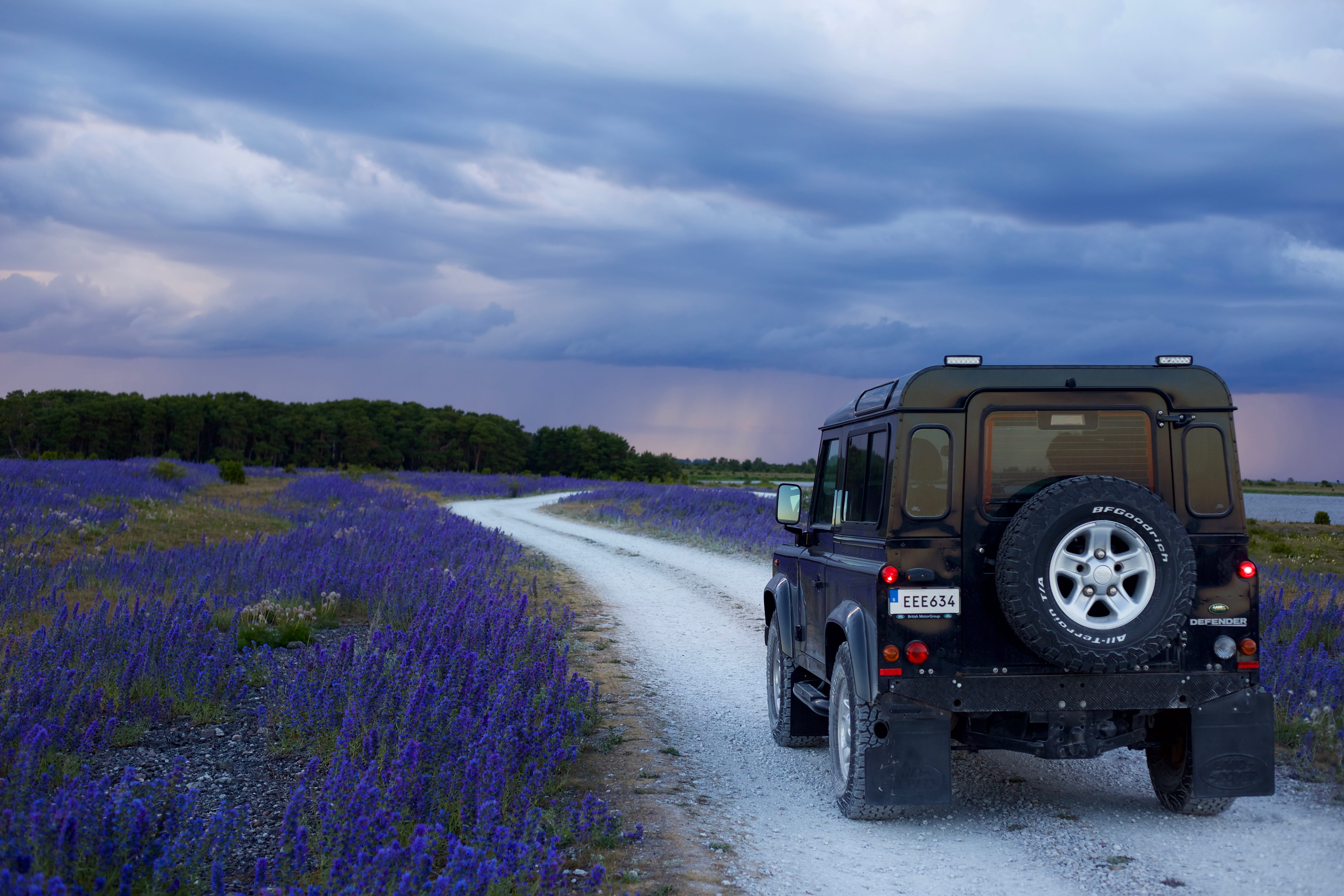 lavender, color, park, sitting, automobile, plant, nature, mode of transportation, wheel, purple, fields, flower, automotive, car, outdoors, outdoor, classic, HD Wallpaper