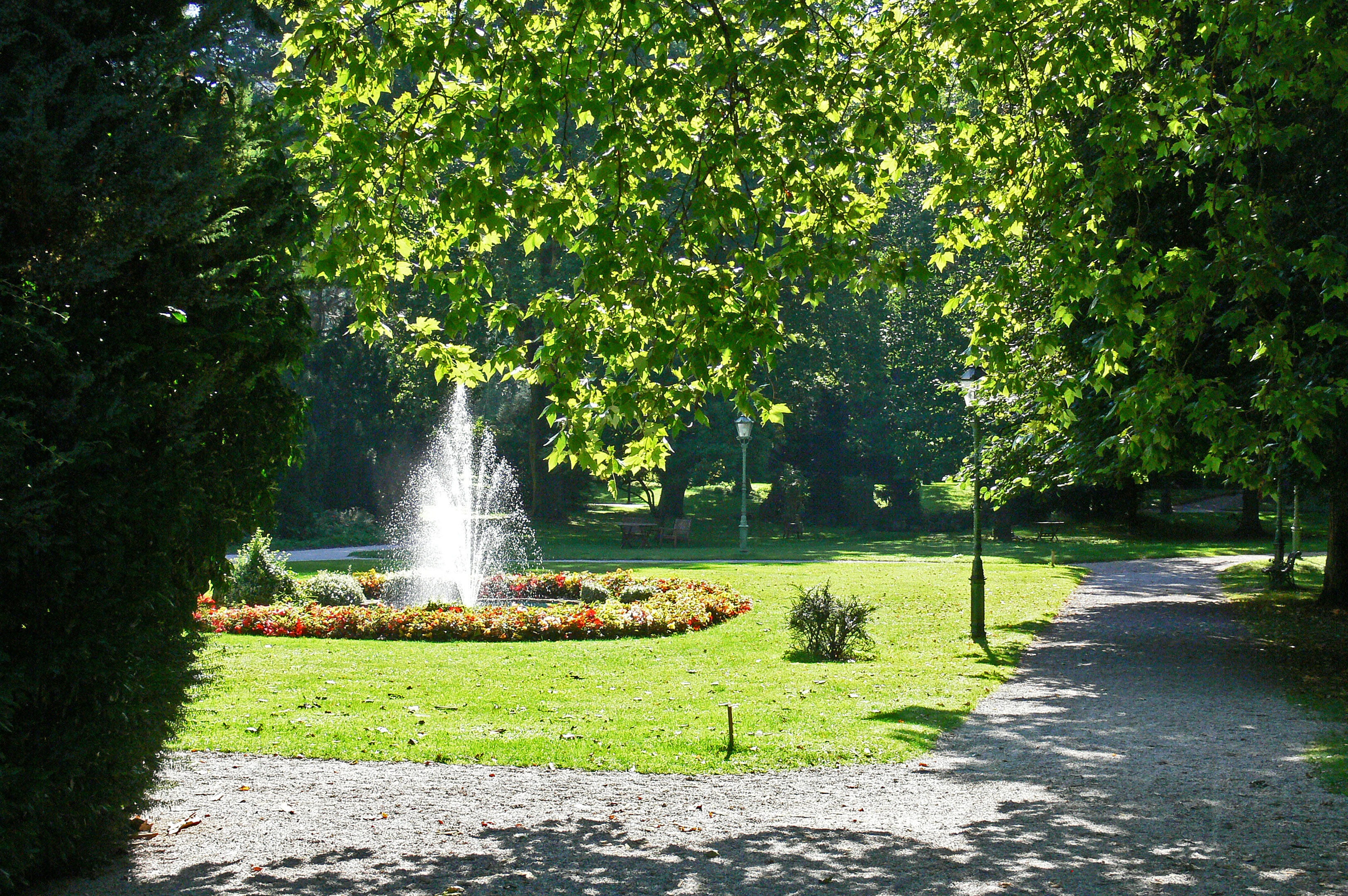 motion, bad reichenhall, maple leaves, tranquility, grass, water, nature, growth, outdoors, back light, flowers, spraying, Kurpark, park, trees, water feature, HD Wallpaper