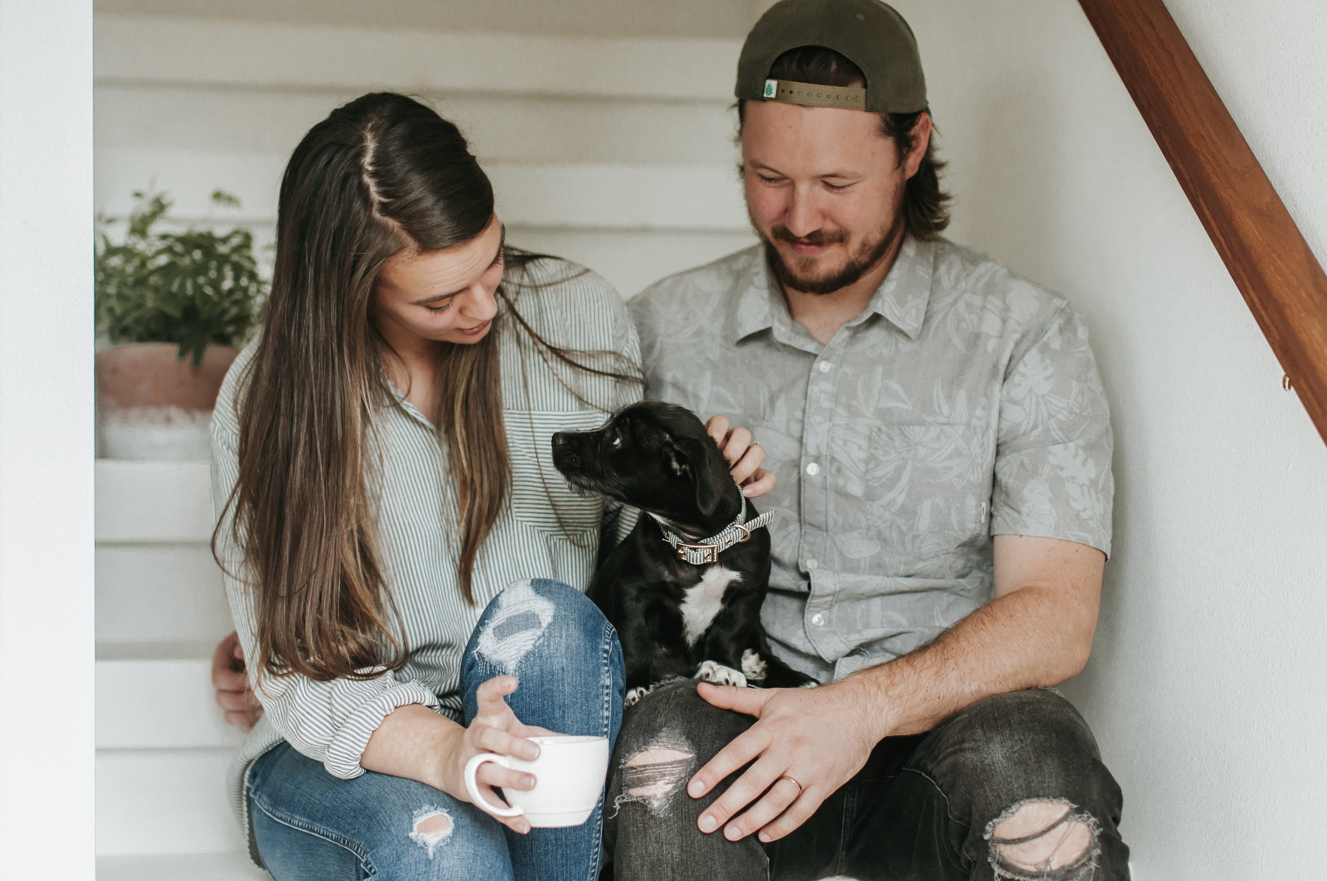 stairwell, stairs, cheerful, sit, puppy, happiness, casual Clothing, house, model, hold, men, two People, canine, home Interior, fashion, smiling, emotion, HD Wallpaper