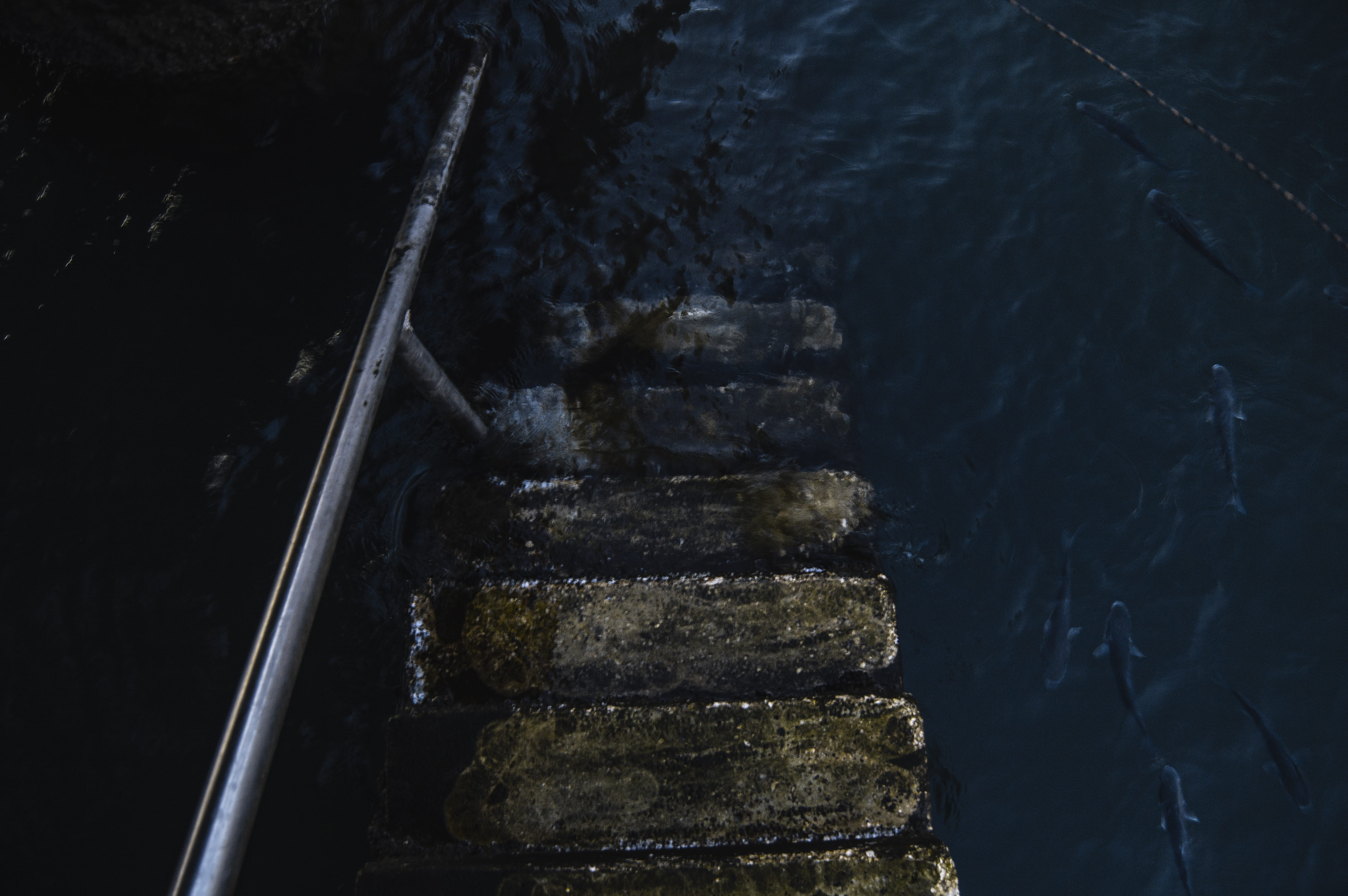 water, portugal, staircase, grey, no People, pole, fish, stairwell, transportation, gorgeou, cascai, outdoors, concrete, wet, sea, 5K, nature, stair, river, HD Wallpaper
