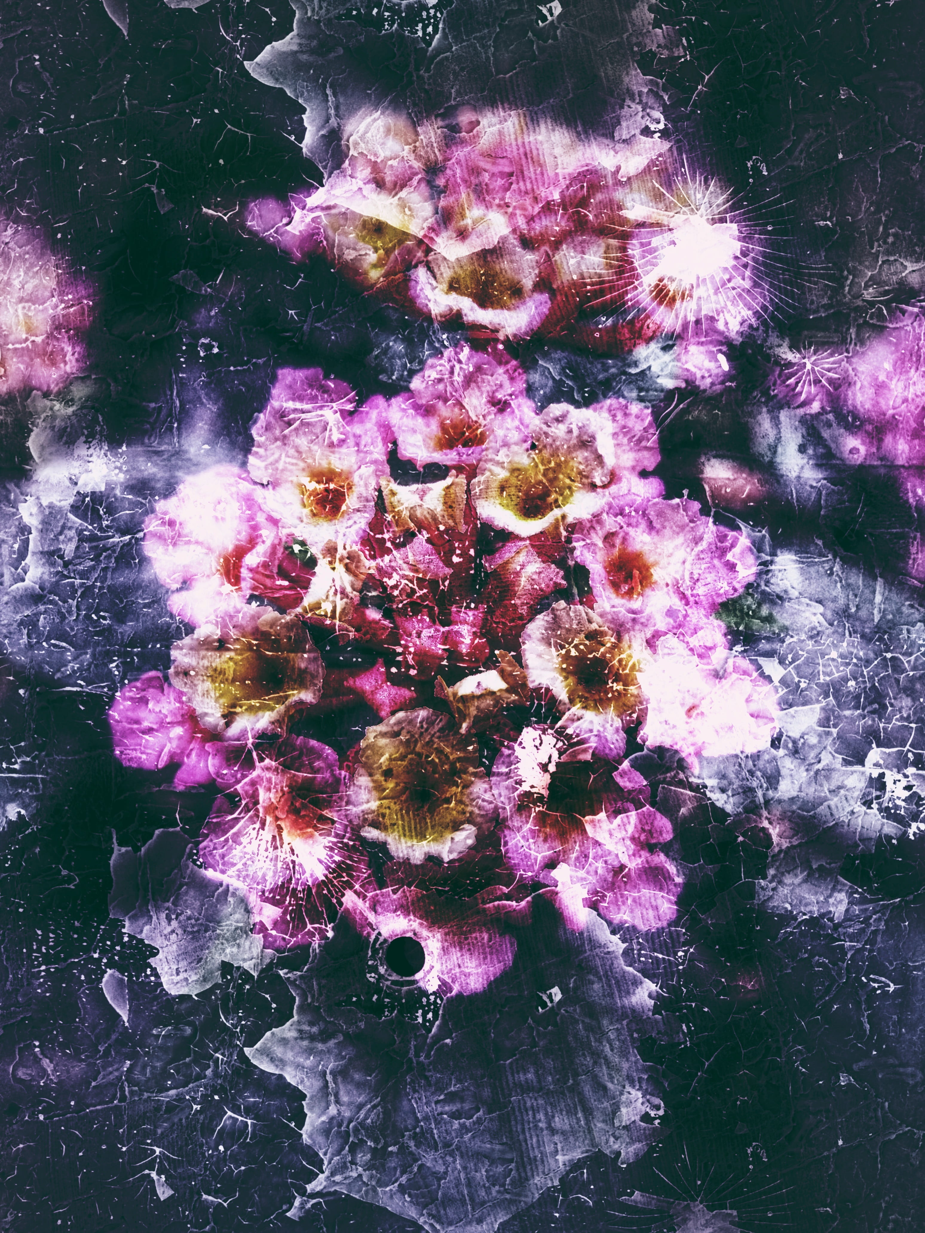 nature, creative, design, no people, high angle view, day, 4K, decor, flowering plant, flor, decoration, banner, creativity, pink color, flores, plant, Phone HD Wallpaper
