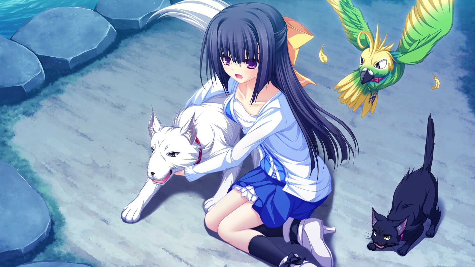one person, cat, lifestyles, Lunaris Filia, Minase Yukari, dog, domestic animals, fashion, real people, anime girls, full length, schoolgirl, high angle view, HD Wallpaper