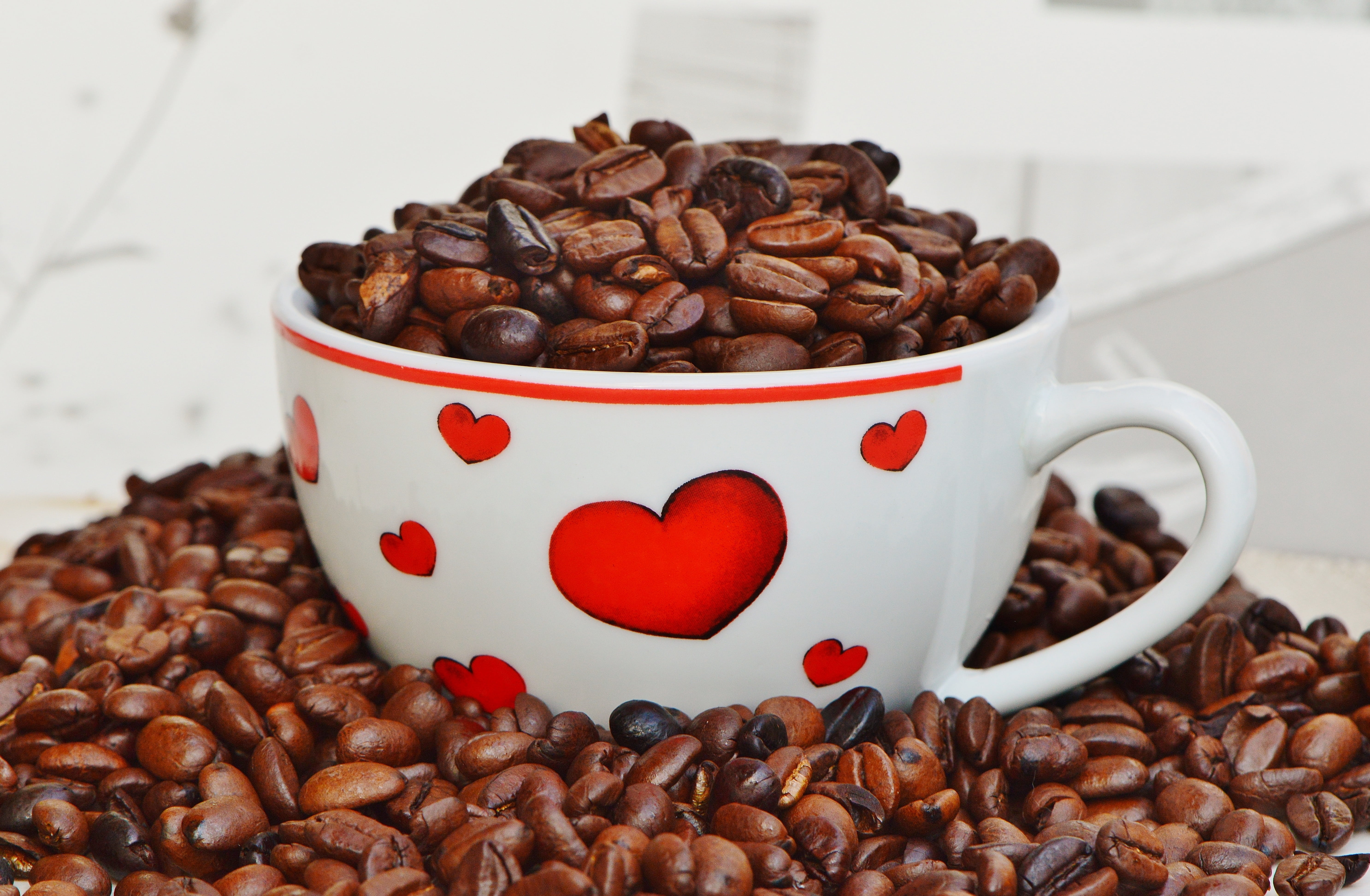 food, love, large group of objects, coffee beans, coffee, white, porcelain, cafe, enjoy, benefit from, ceramic, coffee bean, coffee cup, romance, espresso, HD Wallpaper
