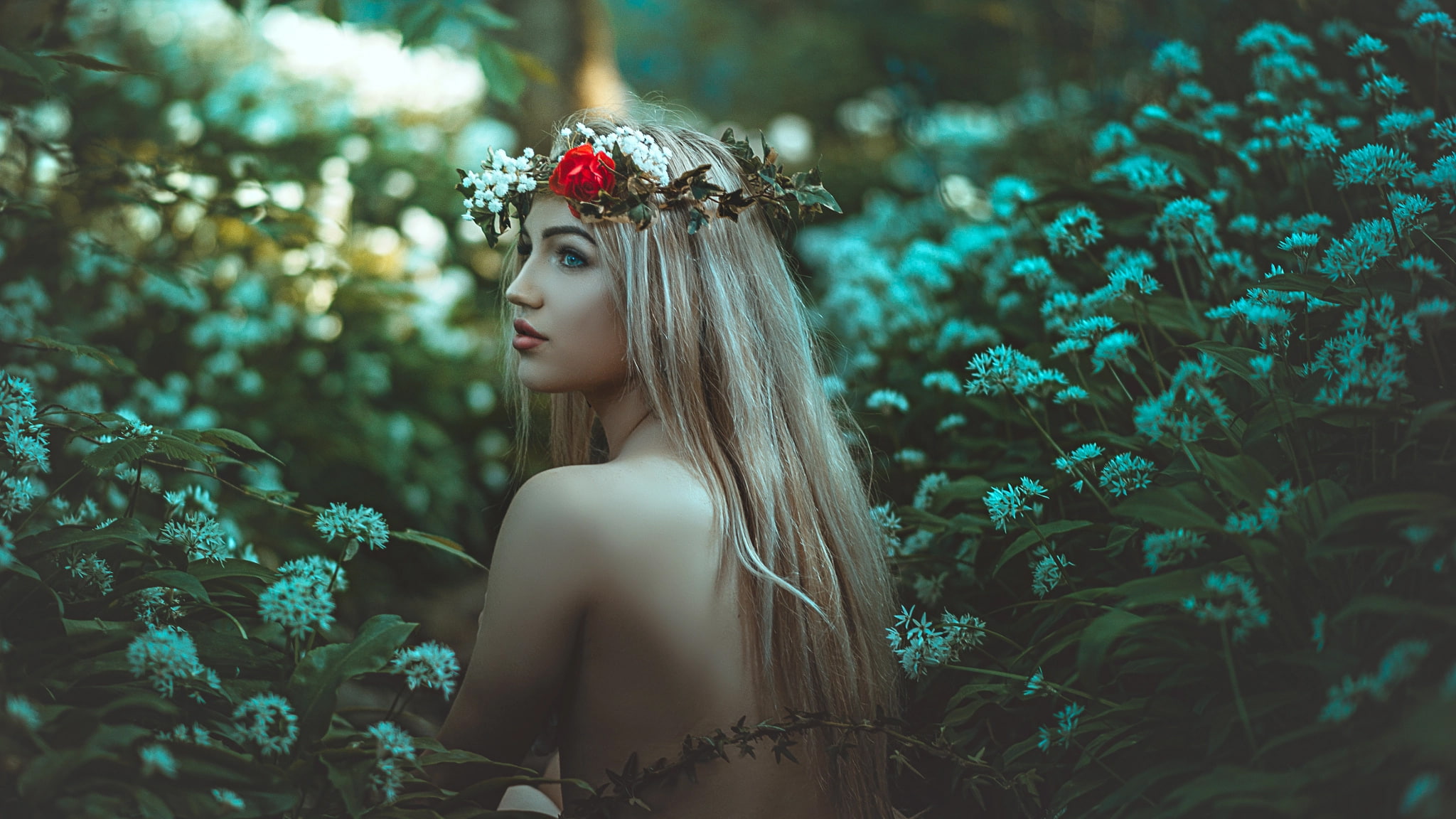land, glamour, plant, forest, hairstyle, profile, teenager, contemplation, fashion, young women, tree, nature, beauty, young adult, beautiful people, fantasy girl, HD Wallpaper