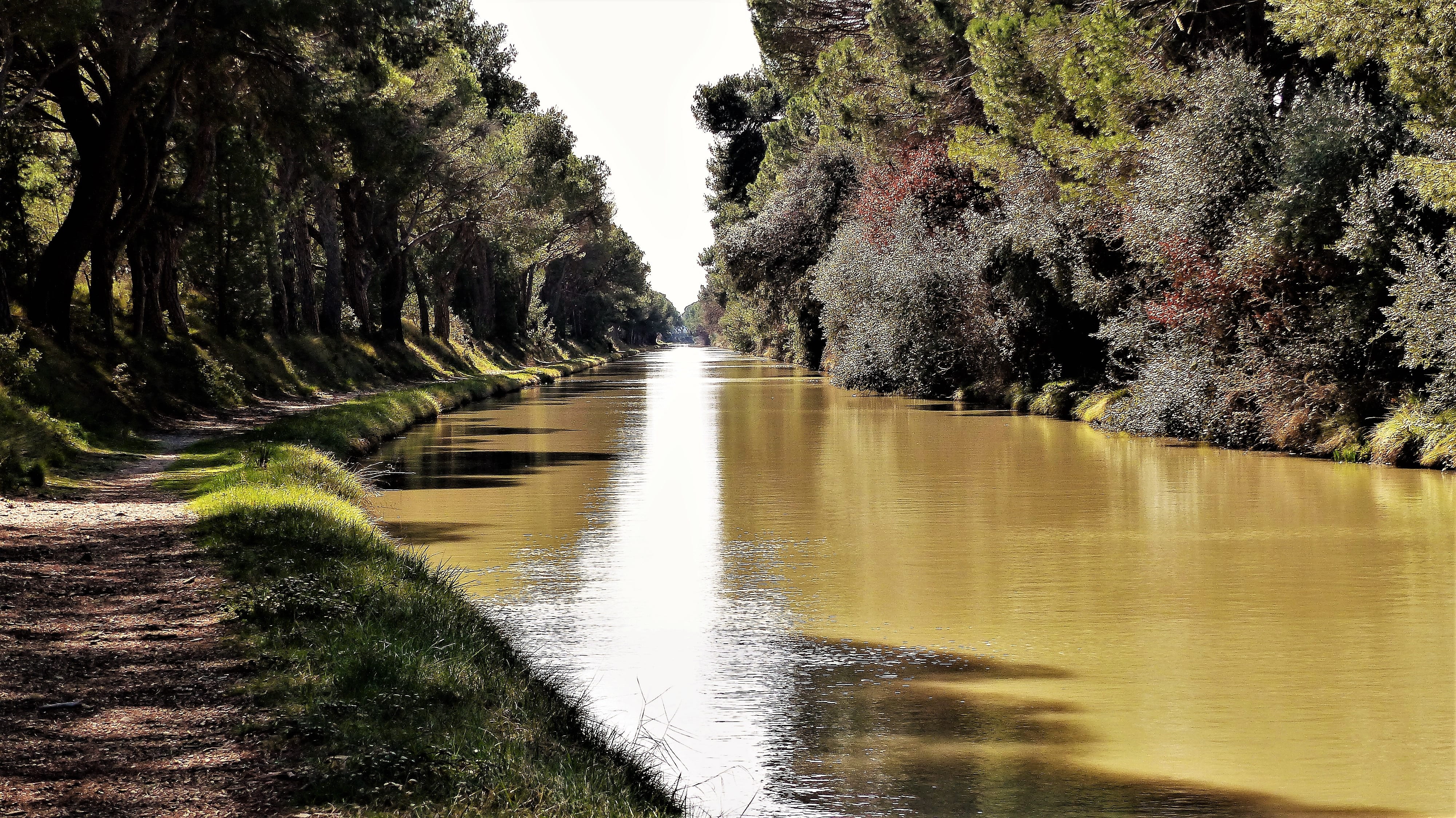 river, flowing, nature, midi channel, growth, body of water, 4K, non-urban scene, aude, no people, tranquil scene, full air, sky, flowing water, pine, HD Wallpaper