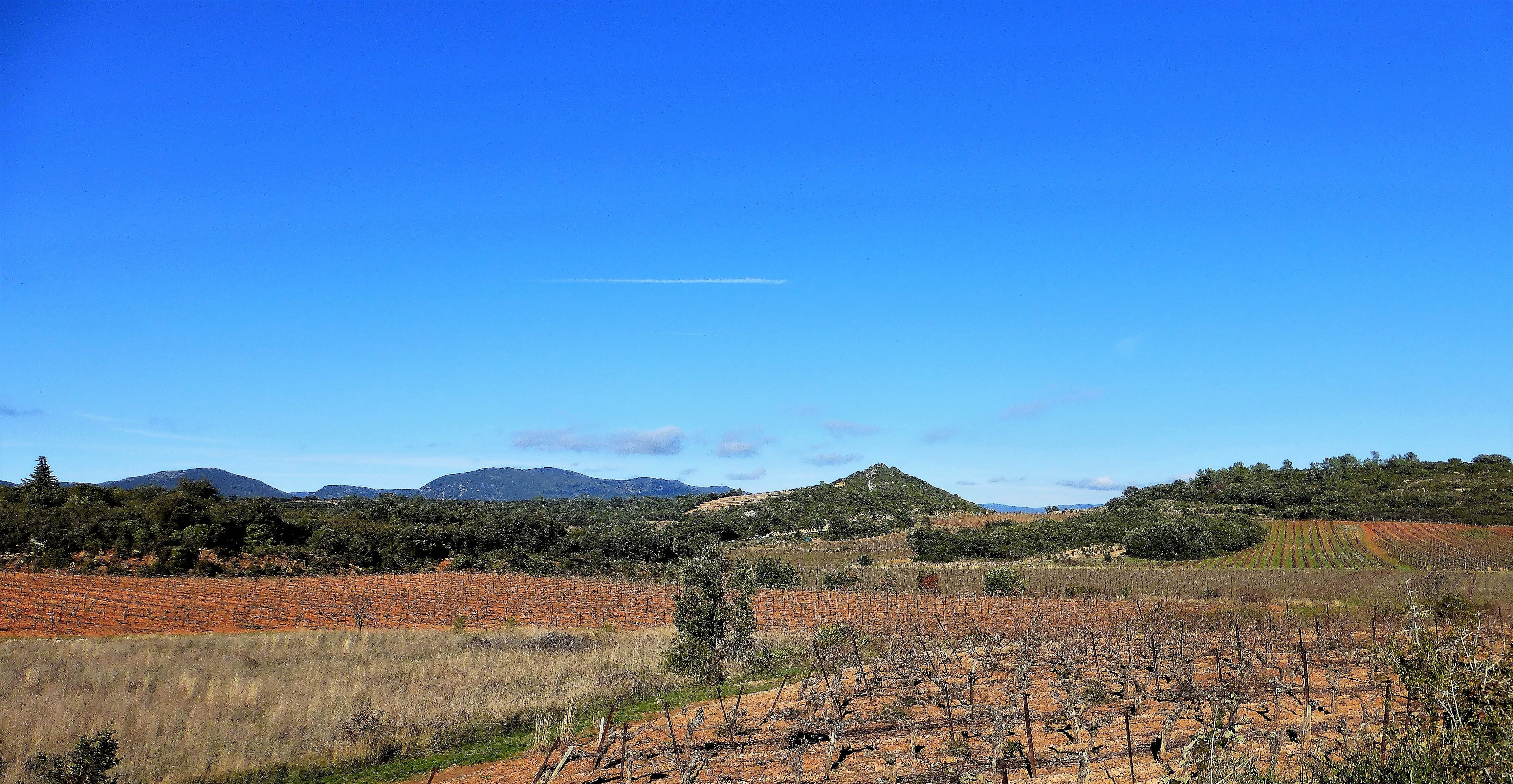 rural scene, aude, outdoor, mountain, clear sky, semi-arid, mountain range, vine, no people, france, arid climate, nature, sky, blue, environment, tranquility, HD Wallpaper