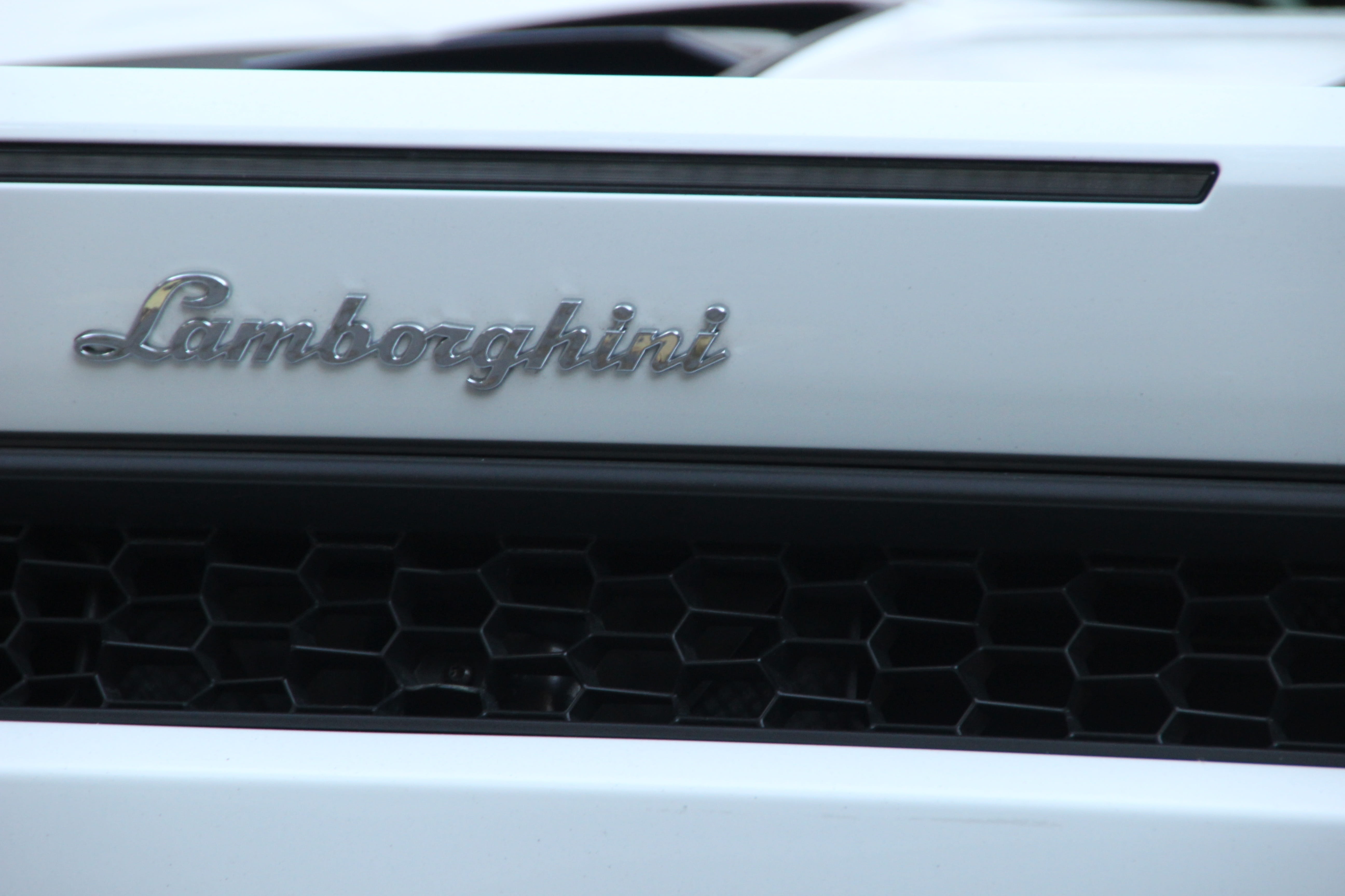 hood, metal, Logo, no people, food and drink, land Vehicle, 5K, vehicle, sports car, computer, car, stylish, glass - material, Emblem, close-up, racing car, HD Wallpaper