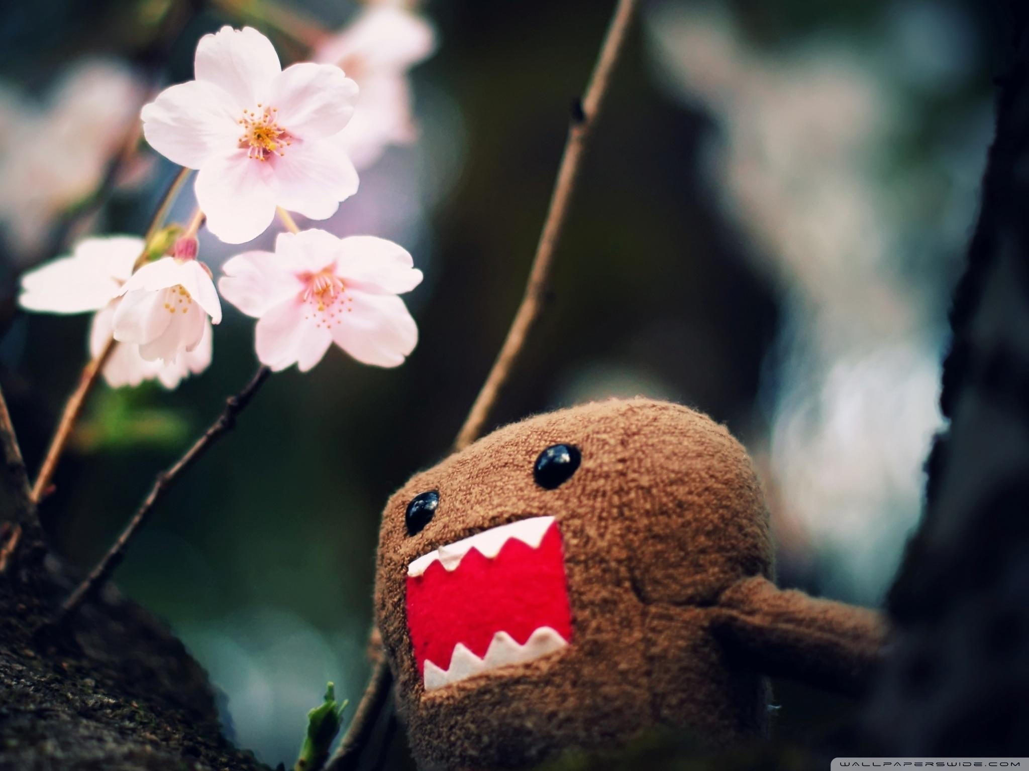 1080P, 3d and abstract, funny, domo, tree, blossom, kun, HD Wallpaper