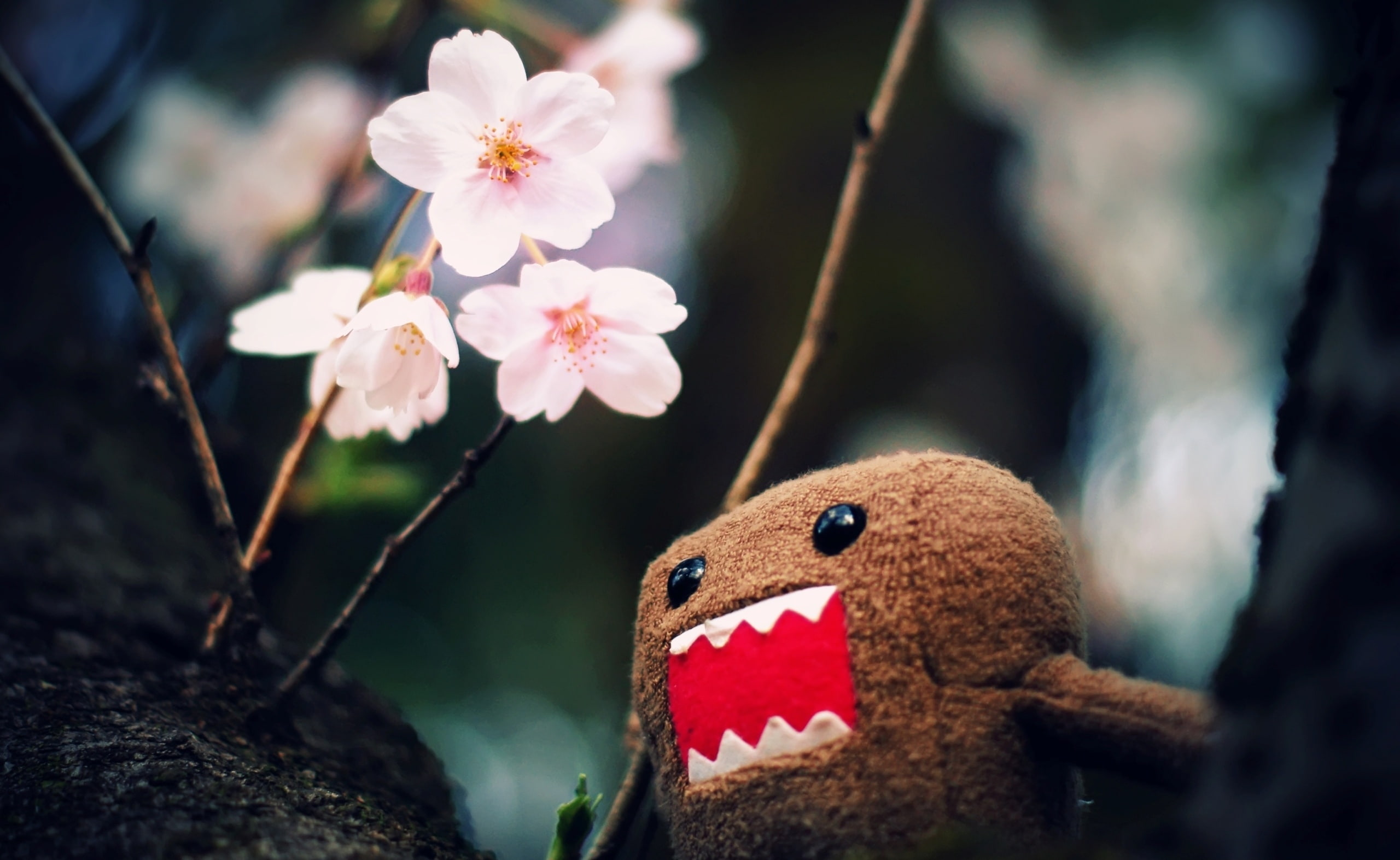 flower head, no people, selective focus, toy, day, freshness, small, outdoors, plant, pollen, petal, creativity, flowering plant, growth, Domo, Funny, kun, HD Wallpaper