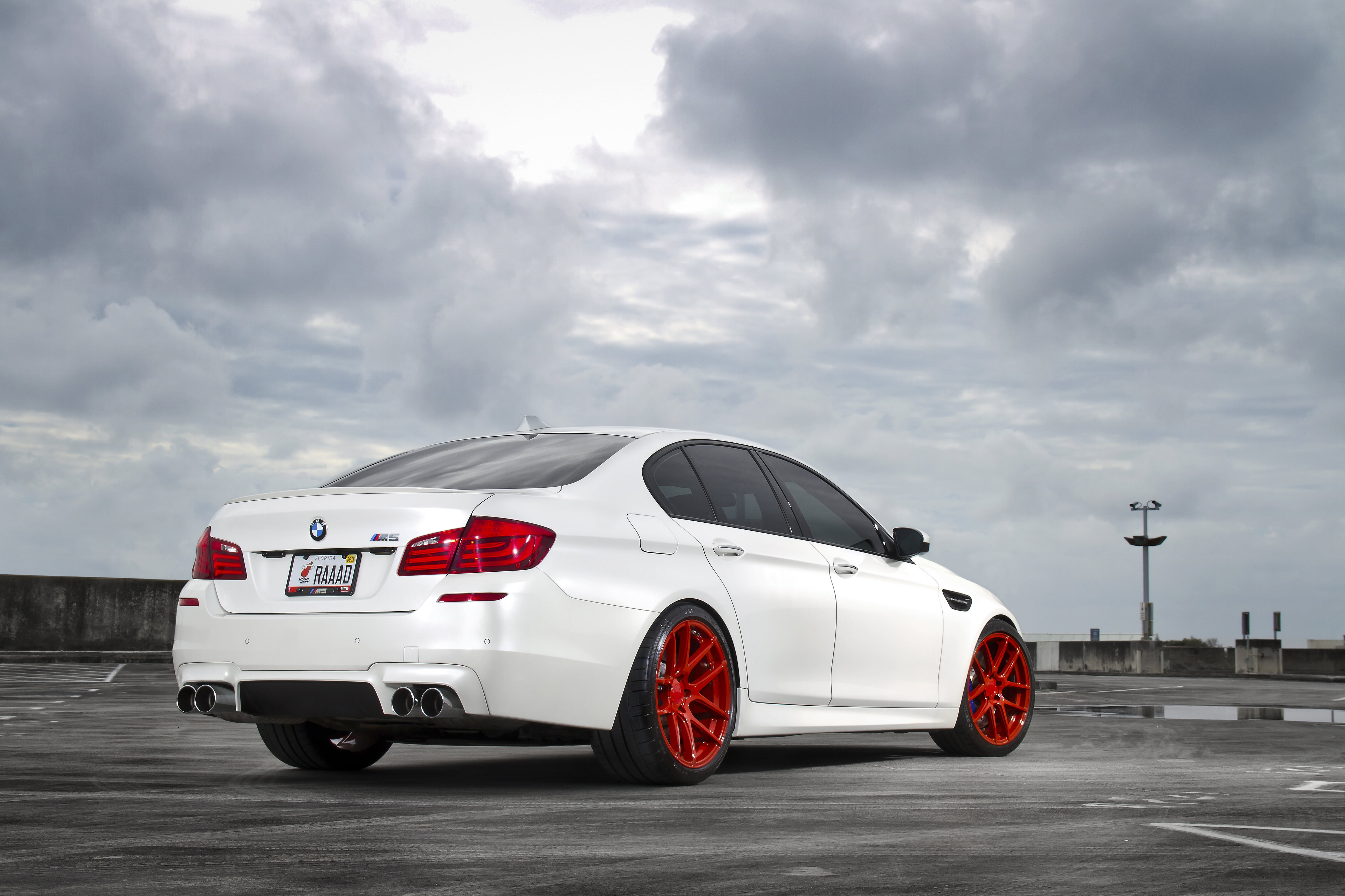 transportation, rear view, new, editorial, road, no People, sports car, mode of Transport, white color, car, sports Utility Vehicle, nature, 5K, wheel, HD Wallpaper