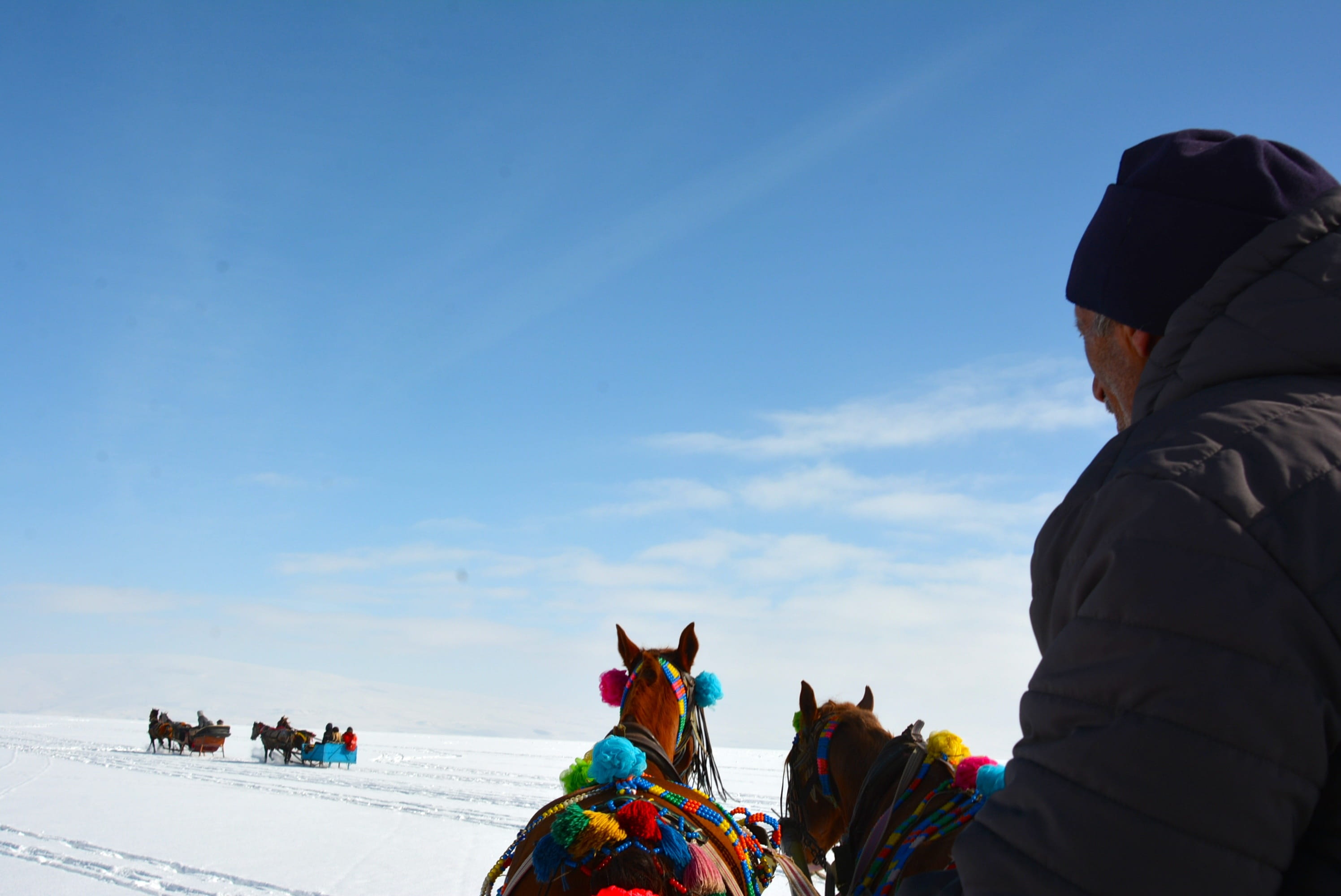sky, landscape, outdoors, adult, leisure activity, the horses are, men, mammal, one animal, cloud - sky, holiday, pictures, nature, ice, real people, vacations, HD Wallpaper