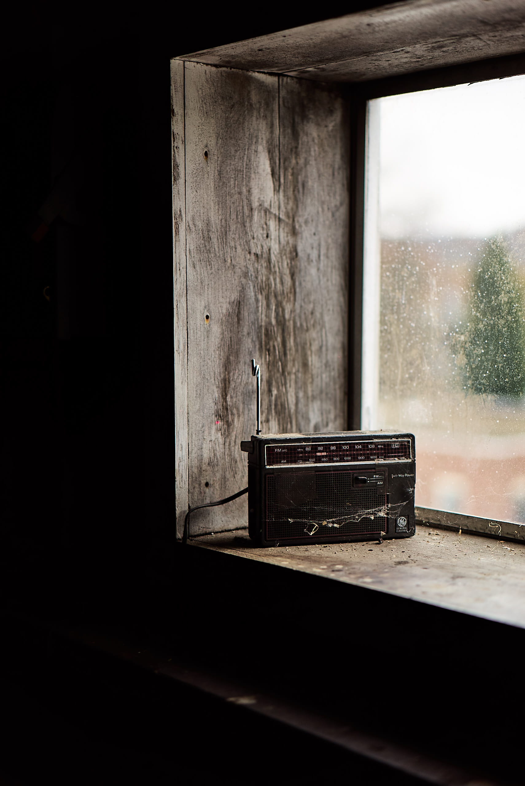 transistor, tree, old, dirty, sunlight, wooden, 2K, absence, frame, window, empty, black, wood - material, wall - building feature, no people, built structure, Phone HD Wallpaper