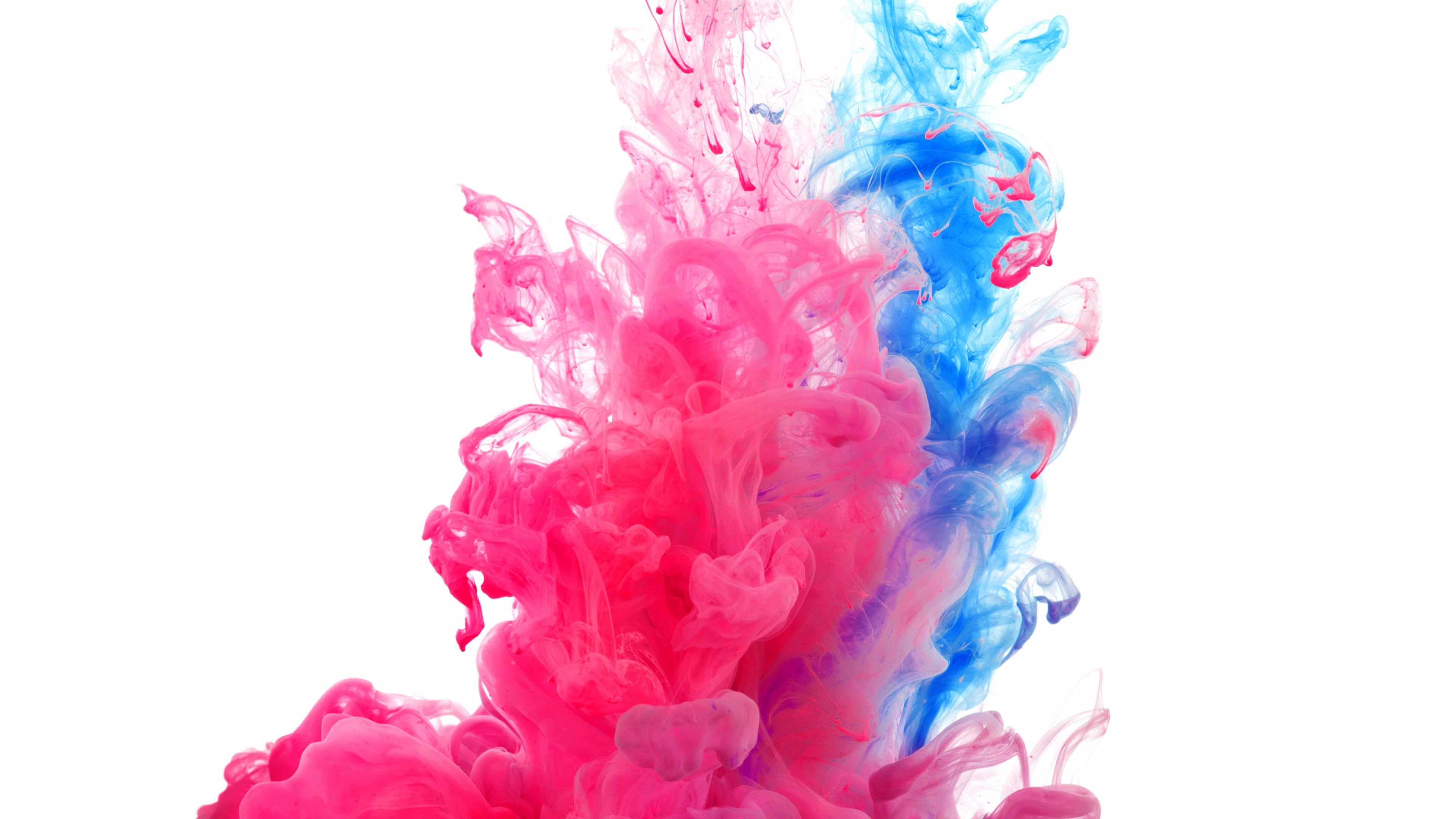 red, India, 5k, blue, paint, public holiday, Holi, 4k, live photo, 4K, water, underwater, HD Wallpaper