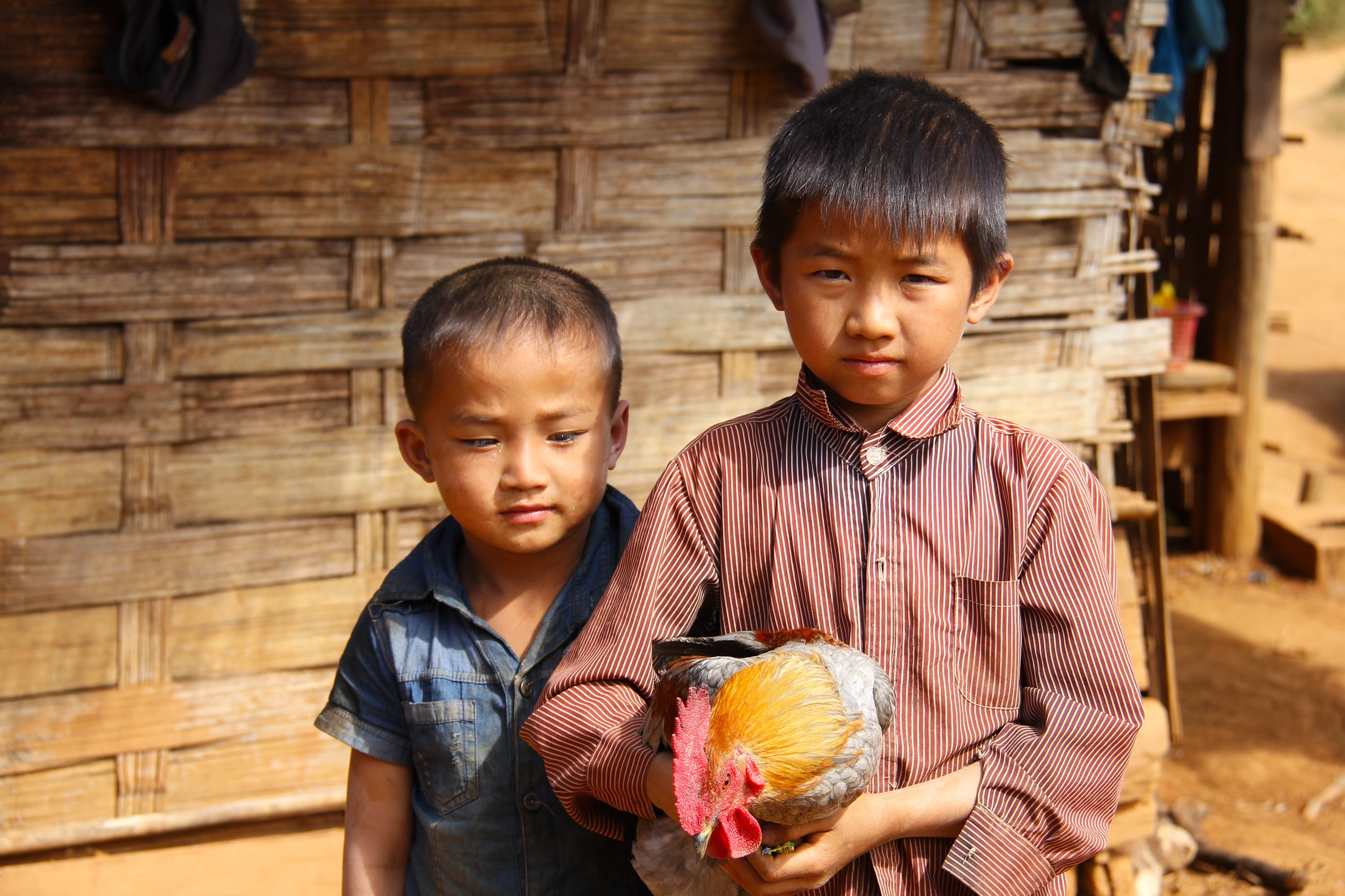 portrait, local, walking, vacation, men, looking at camera, colorful, beautiful, culture, food and drink, young, boys, orange, asian, tourism, cultural, HD Wallpaper