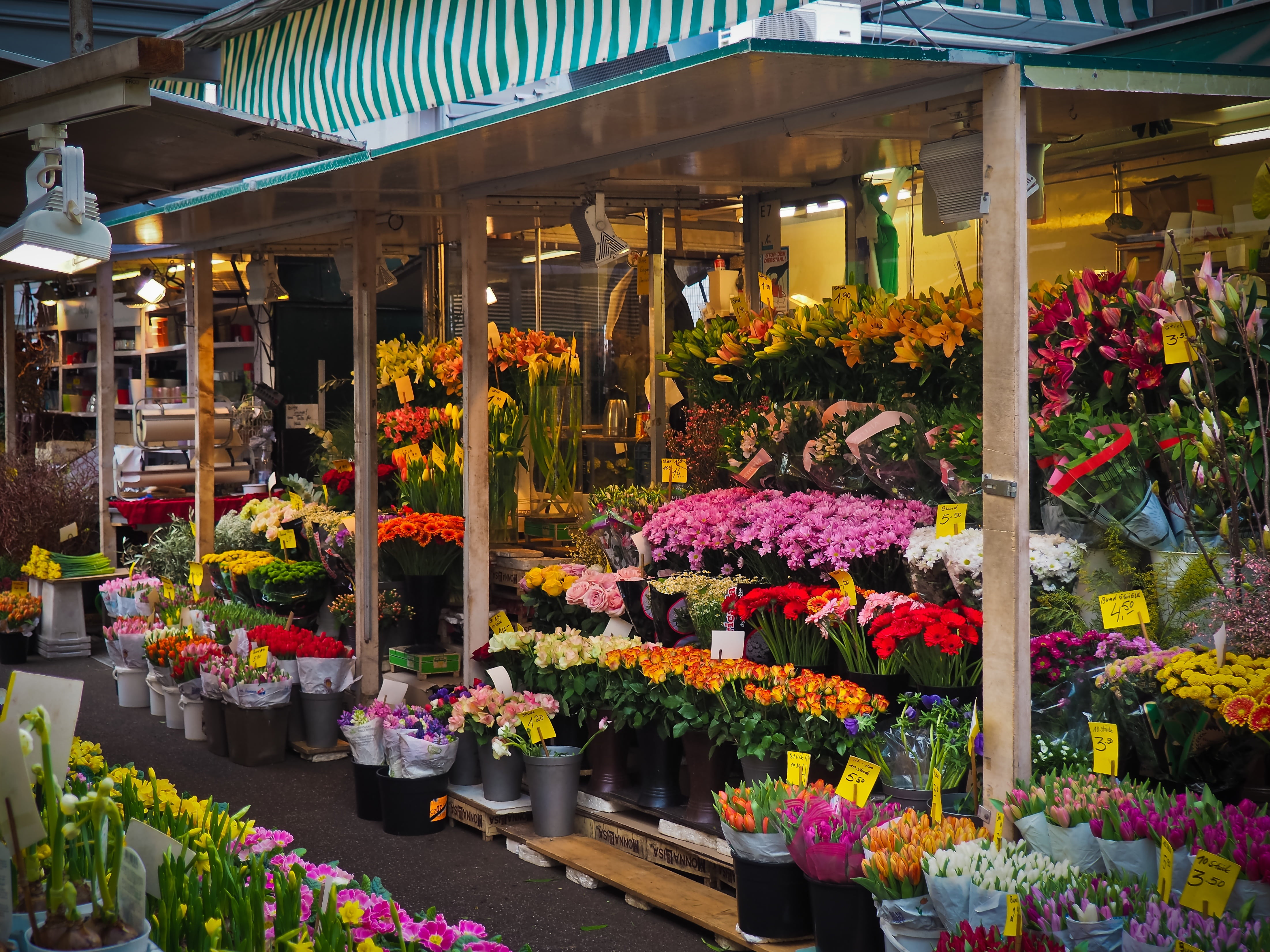 flower head, flower pot, sale, düsseldorf, market stall, freshness, outdoors, retail display, business, for sale, flower arrangement, plant, flower shop, HD Wallpaper