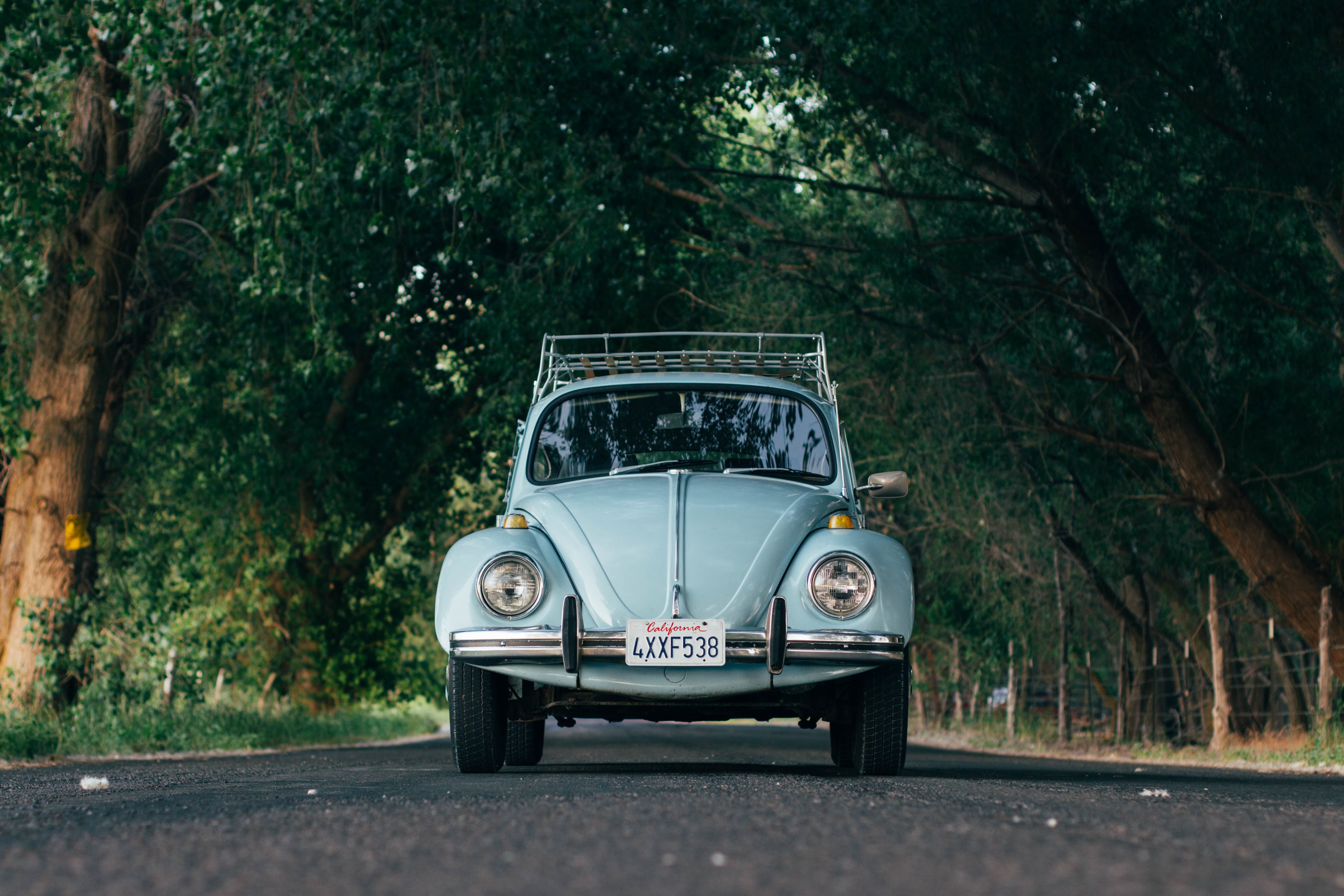 4K, trees, Volkswagen Beetle, road, California, Volkswagen, HD Wallpaper