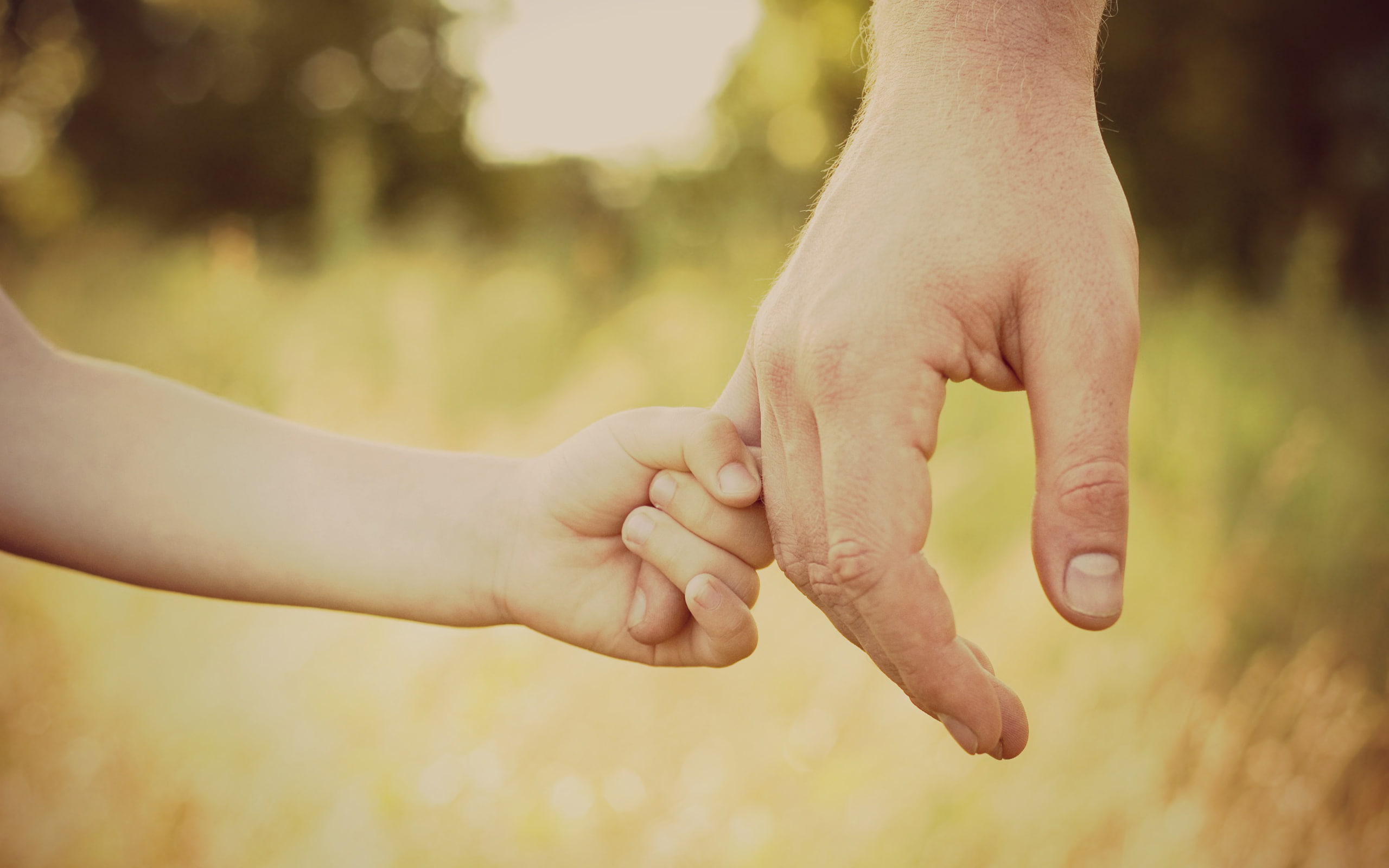 girls, son, hands, bokeh, children, daughter, fingers, love, confidence, fatherhood, forest, handle, walk, kids, youth, finger, boys, 2K, protection, father, HD Wallpaper