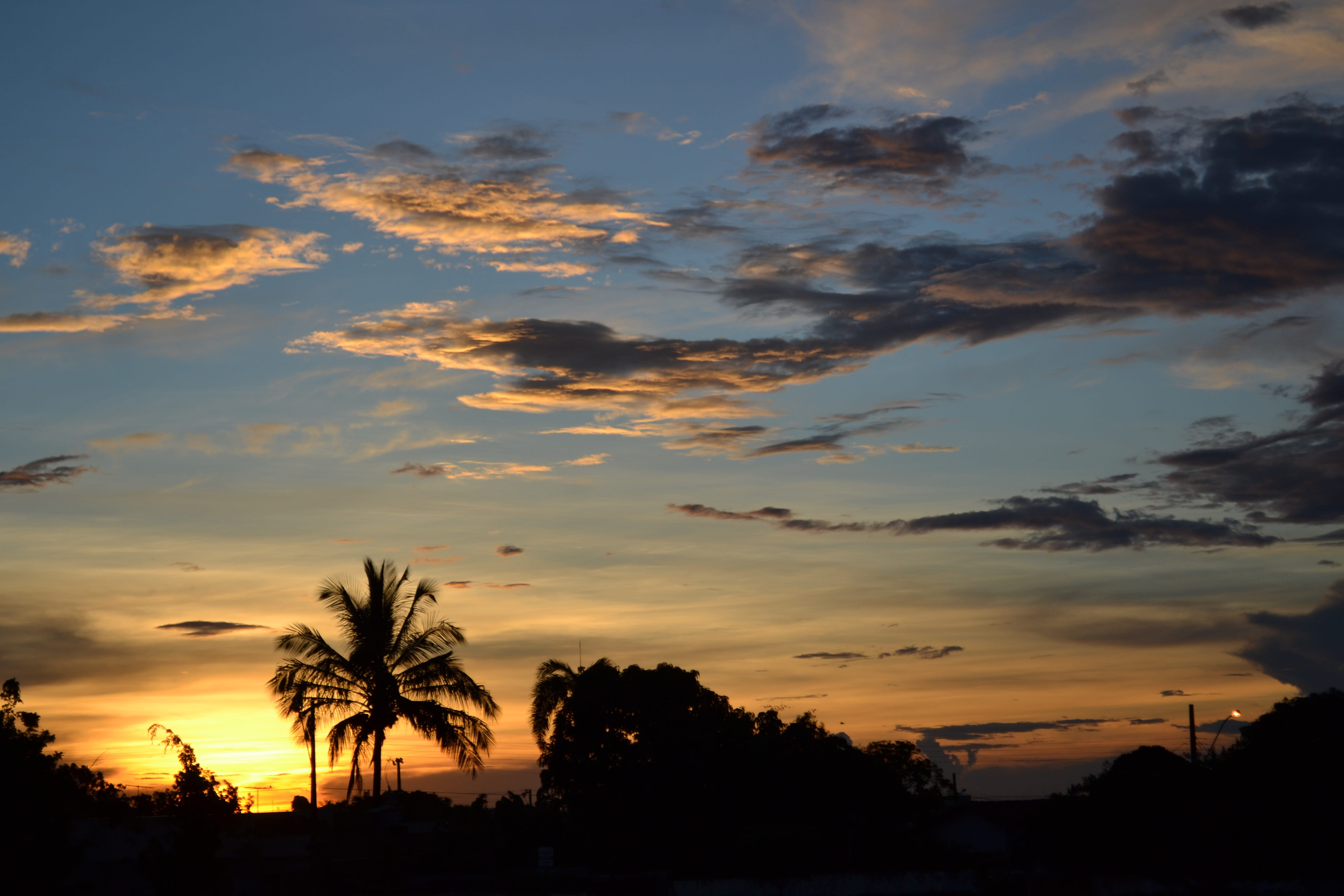 silhouette, sol, palm tree, beauty in nature, tranquil scene, cloud, minas, outdoors, summer, ceu, romantic sky, tranquility, scenics - nature, idyllic, HD Wallpaper