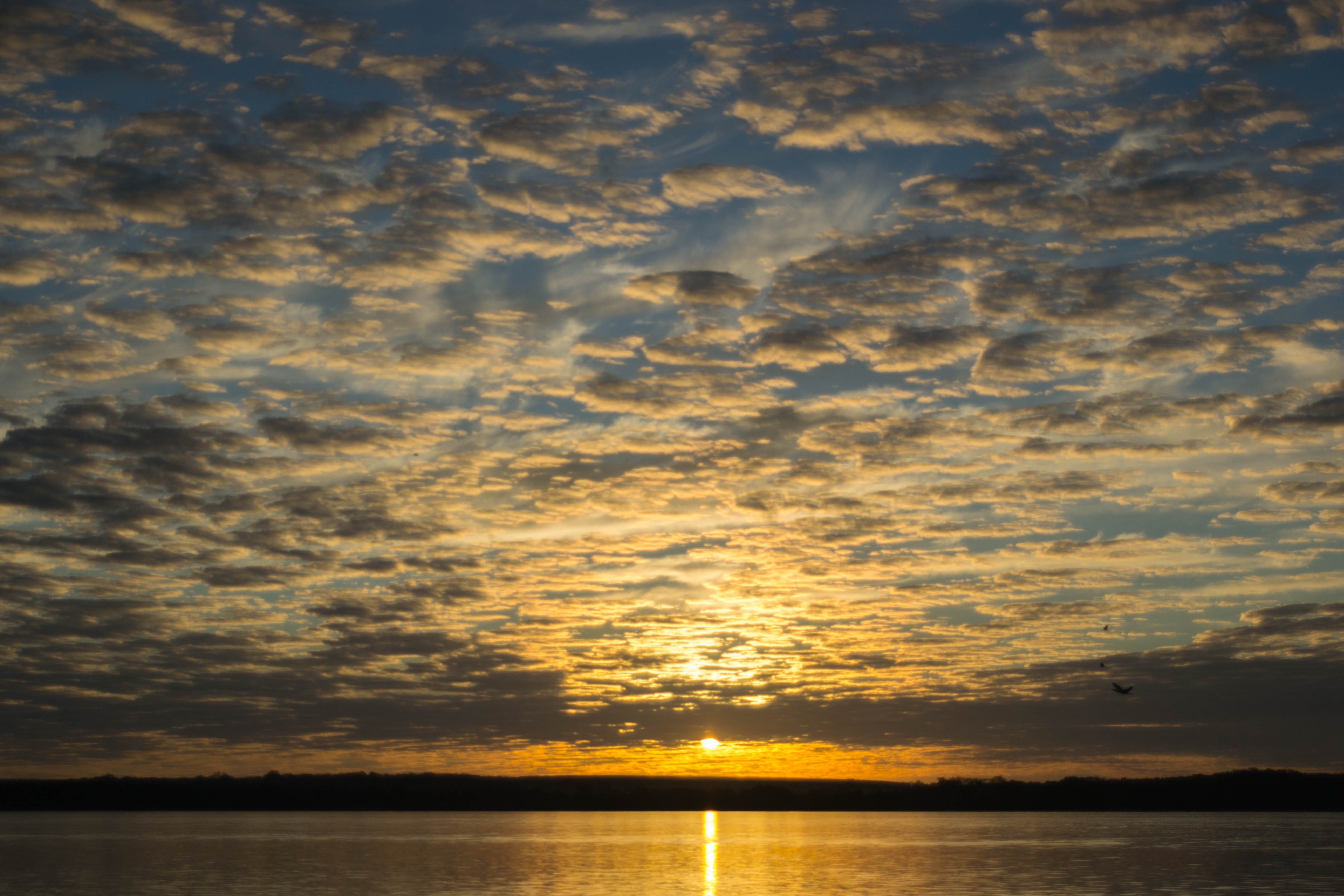 Sky, summer, scenics - nature, rio, cloudscape, horizon Over Water, orange Color, no People, tranquility, waterfront, sunlight, sea, silhouette, brazil, HD Wallpaper