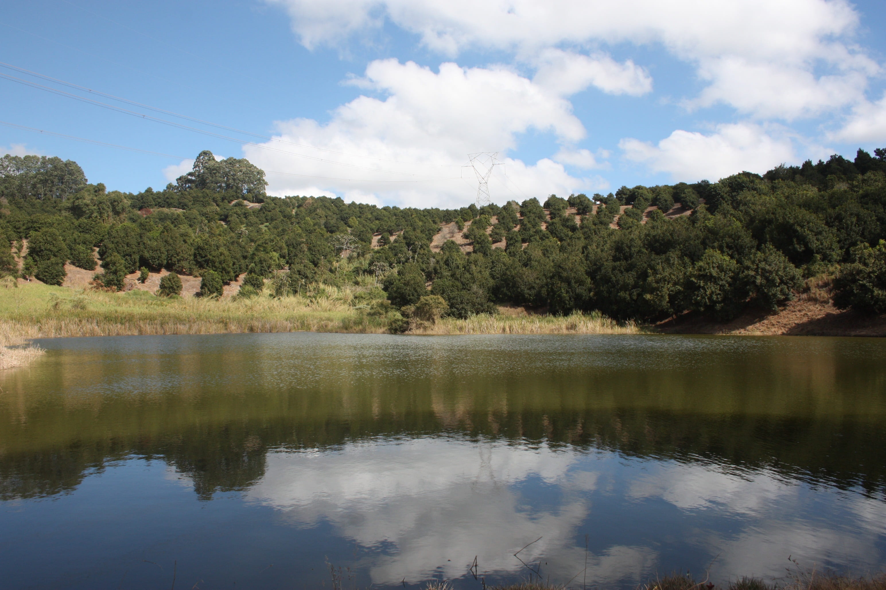 day, forest, water, plant, brazil, summer, outdoors, cloud - sky, afternoon, 2K, rio, non-urban scene, eventide, beauty in nature, trees, end week, lake, HD Wallpaper