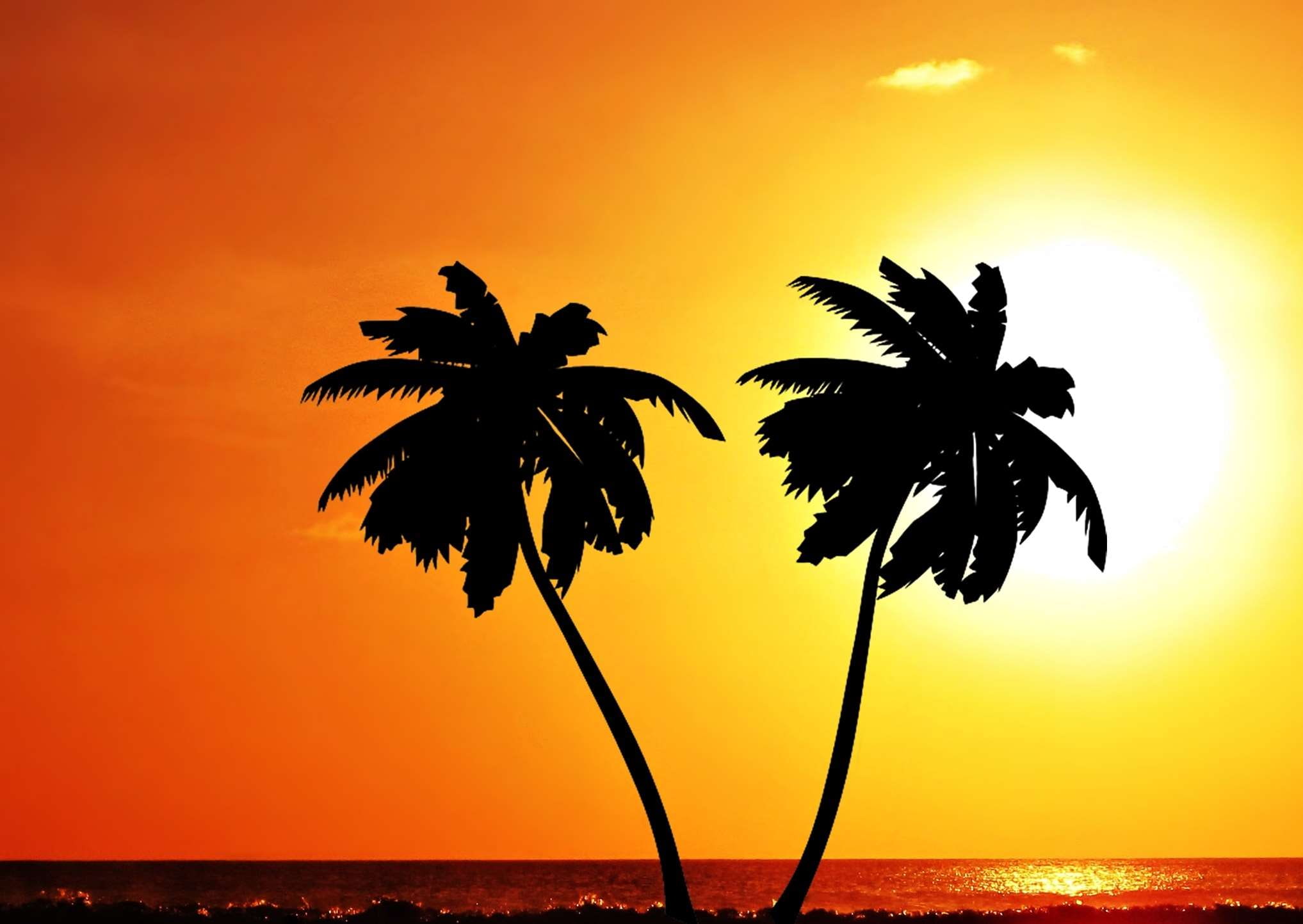 idyllic, horizon, water, orange color, silhouette, coconut palm tree, 1080P, tropical tree, palm tree, ocean, palm trees, nature, mar, beauty in nature, HD Wallpaper