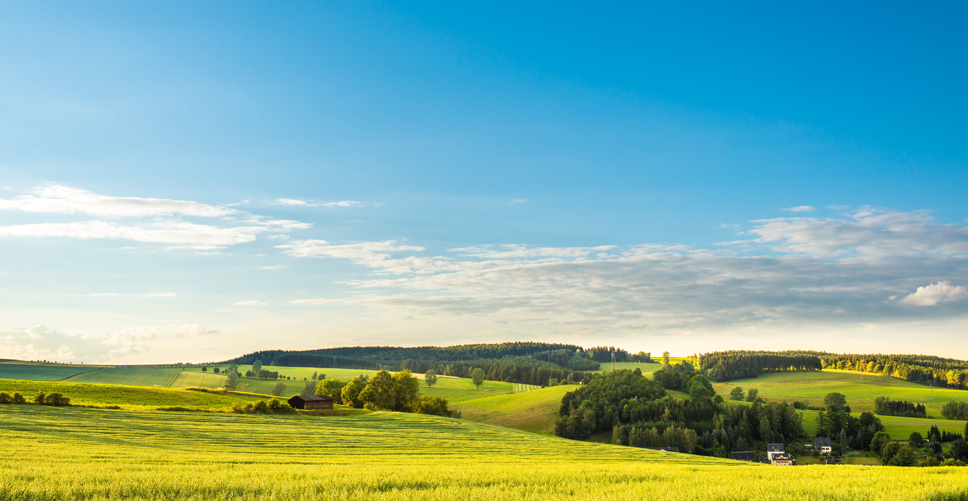italy, Deutschland, field, outdoors, tree, green, tuscany, Jahreszeiten, farm, surrounded, nature, landscaped, meadow, land, scenics, agriculture, sky, HD Wallpaper