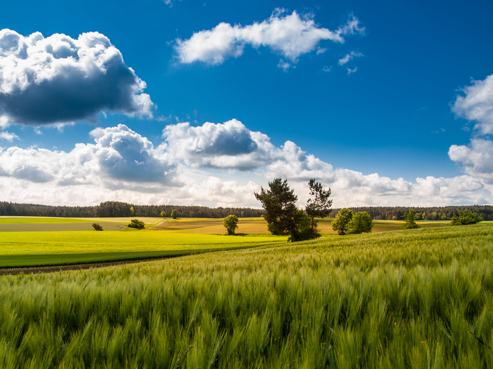 Pottenstein, Olympus E-3, Felder, gelb, landscape, blue, 1080P, green, rural Scene, meadow, outdoors, Acker, Natur, grass field, cloud - Sky, Schweiz, HD Wallpaper