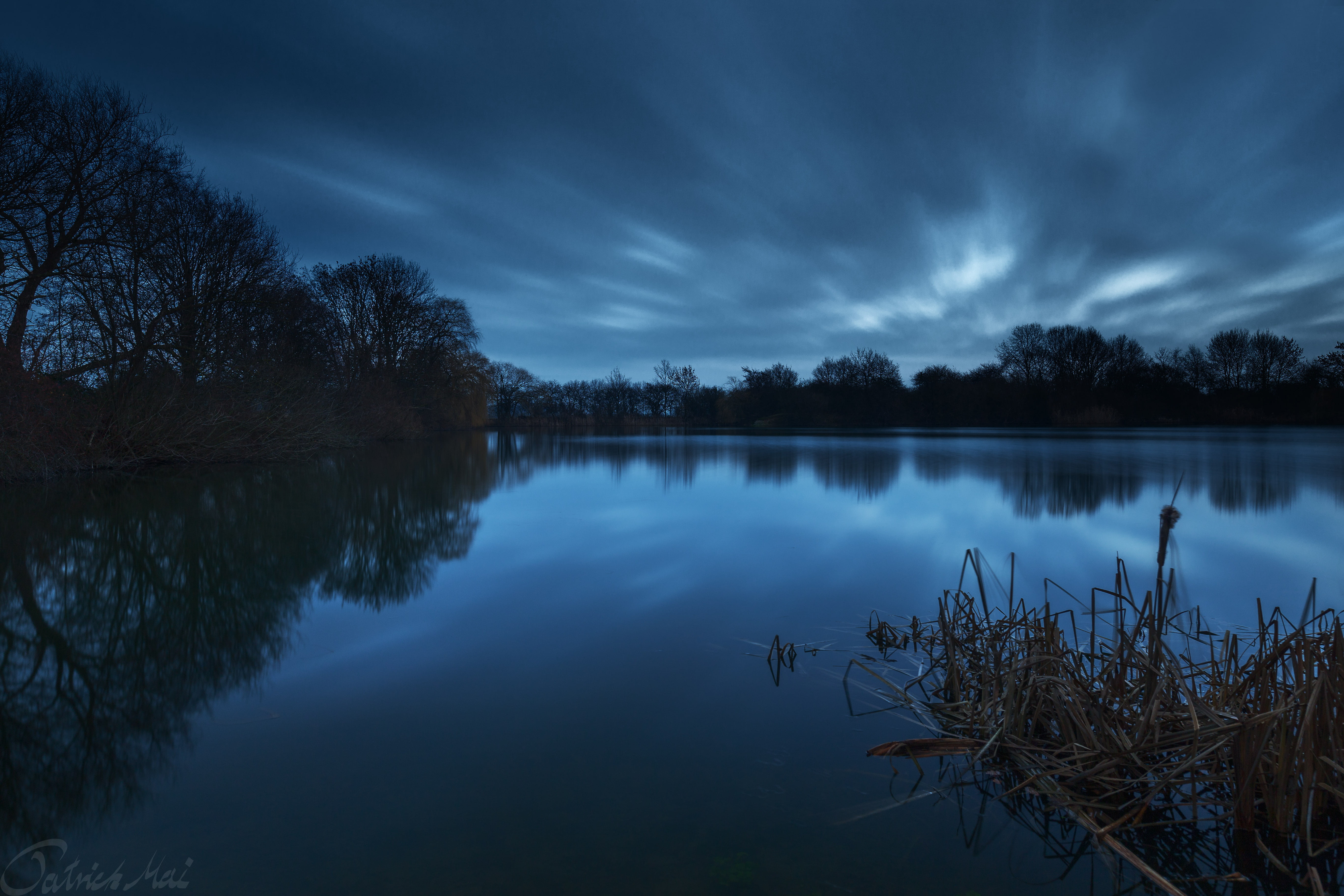 forest, ngc, sky, near, Wolken, tranquil Scene, landscape, Welt, Sigma, Water, scenics, Lake, 5K, f1, photo, tree, reflection, nature, Exposure, Blue World, HD Wallpaper